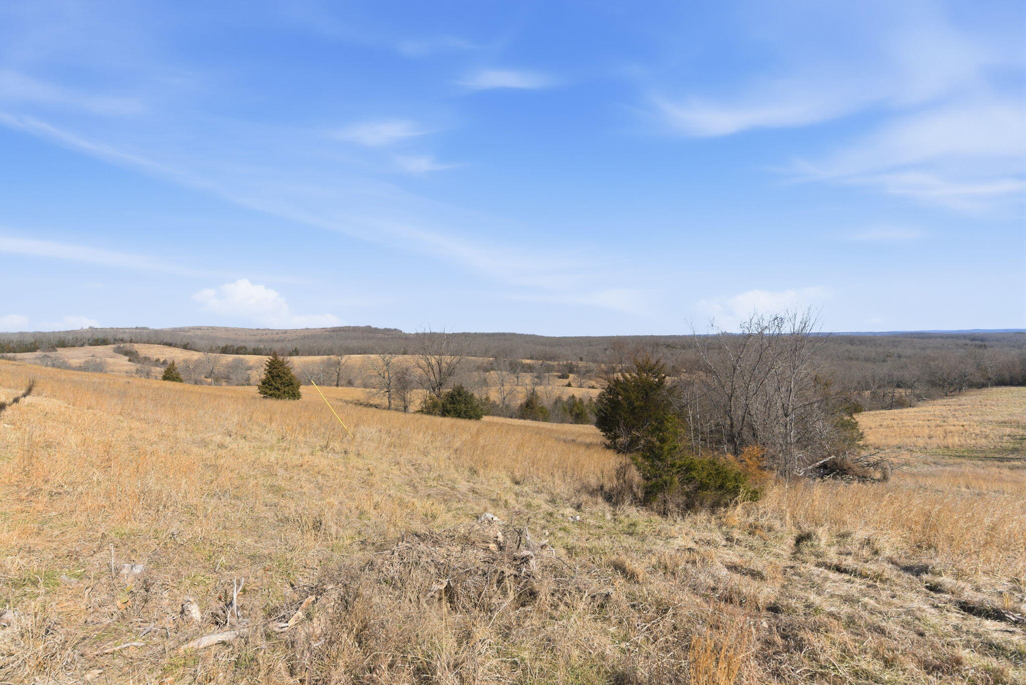 Photo 3 - Land for sale – 000  State Highway D Tract 1   Thornfield, MO