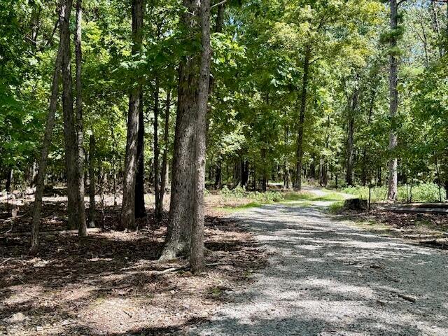 Photo 48 - Residential for sale – 16444  Freedom Road  Willow Springs, MO