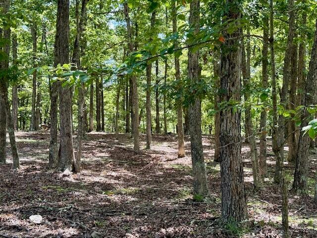 Photo 47 - Residential for sale – 16444  Freedom Road  Willow Springs, MO