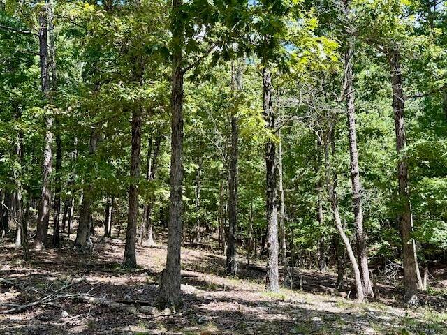 Photo 46 - Residential for sale – 16444  Freedom Road  Willow Springs, MO