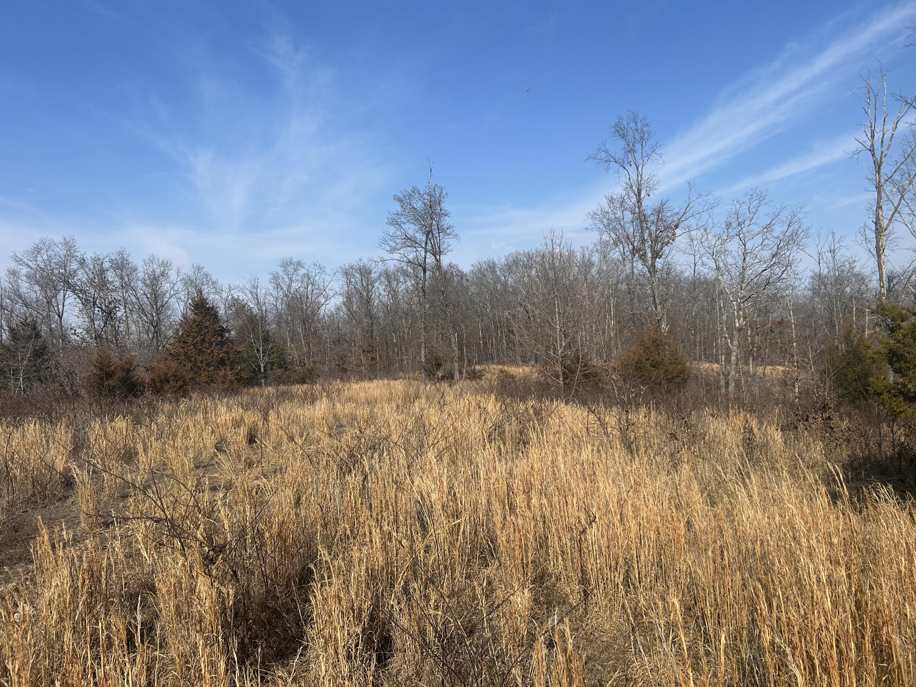 Photo 5 - Land for sale – 00  Highway 32   Salem, MO