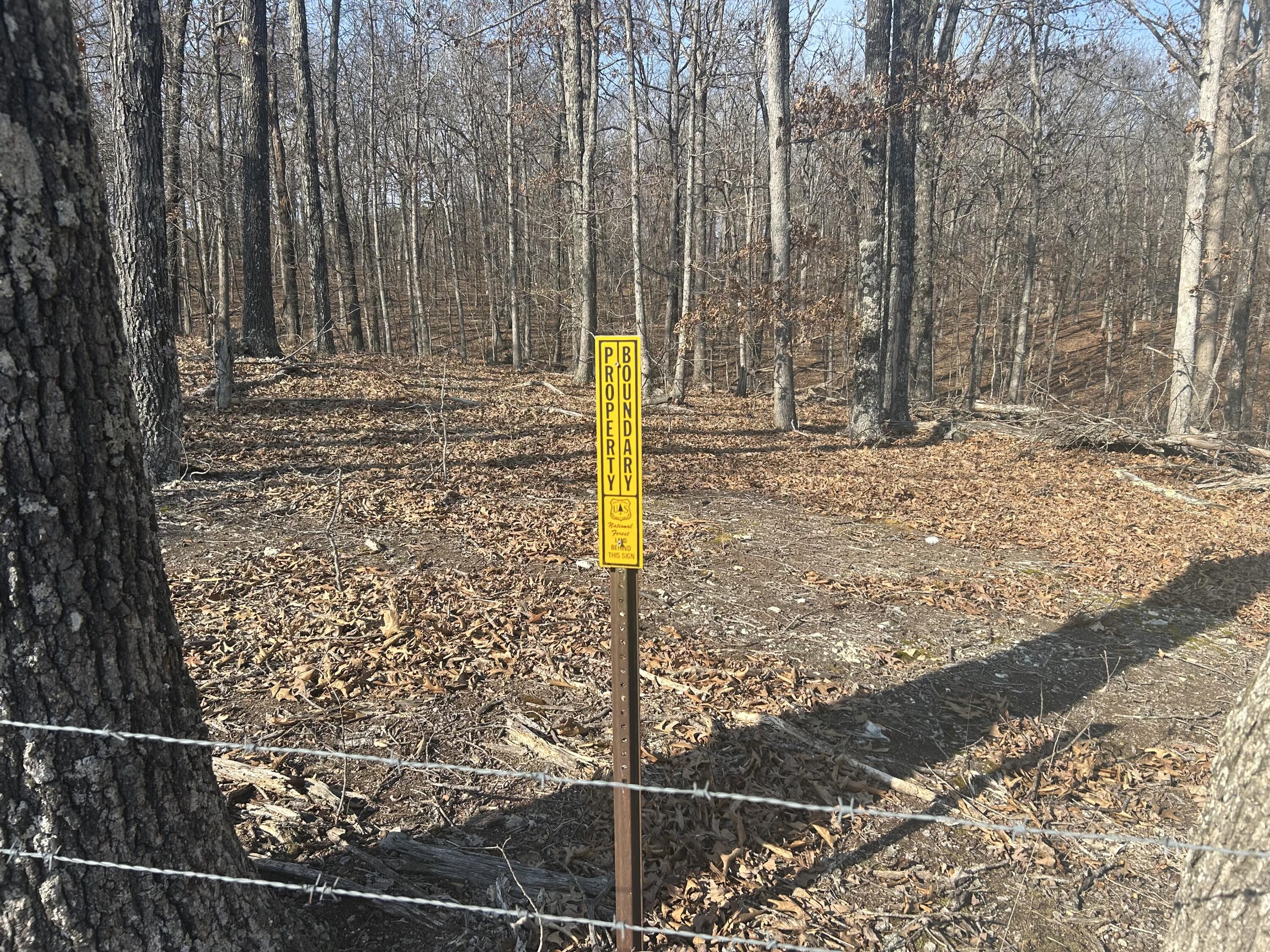 Photo 6 - Land for sale – 00  Highway 32   Salem, MO