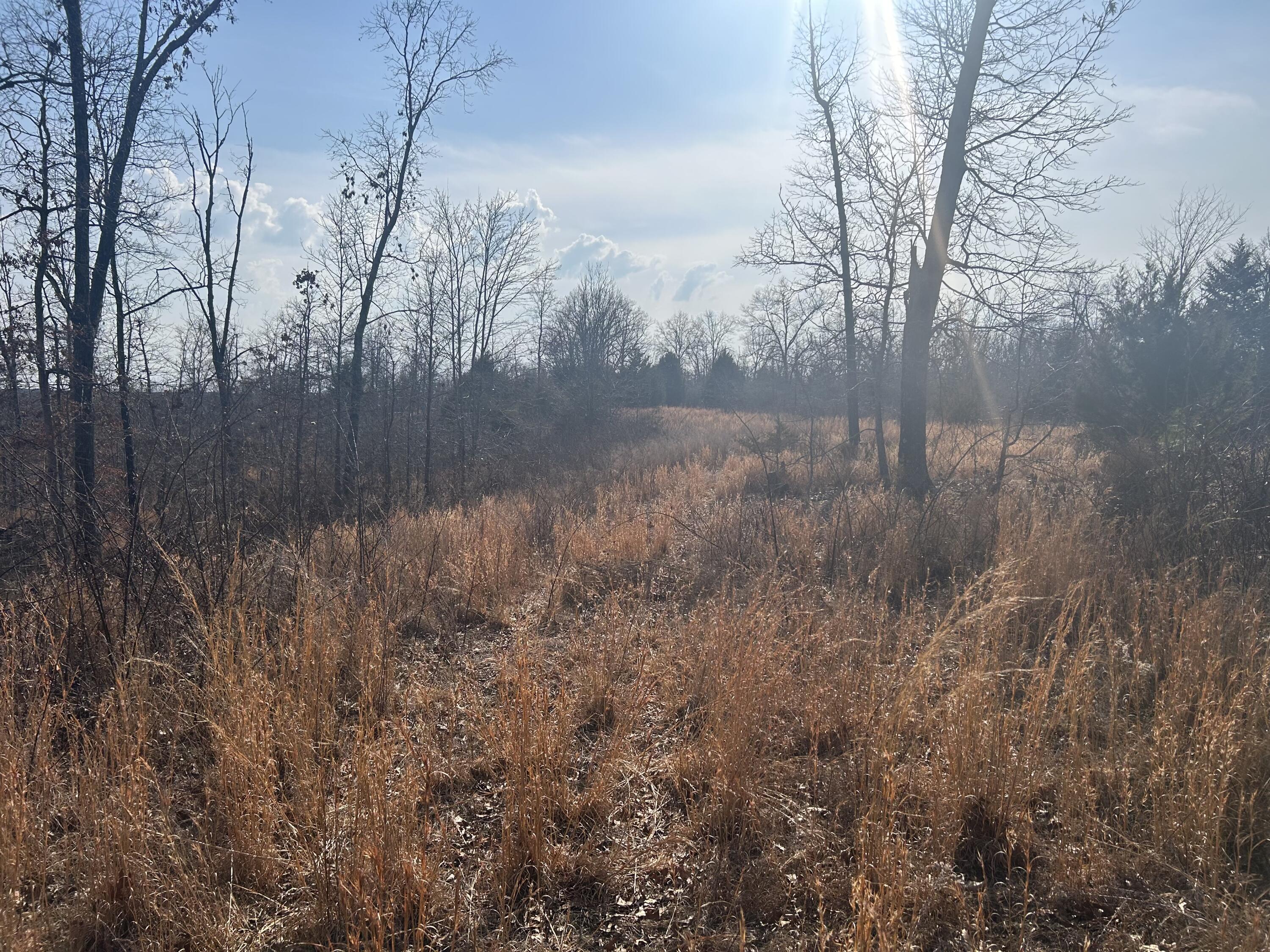 Land for sale – 00  Highway 32   Salem, MO