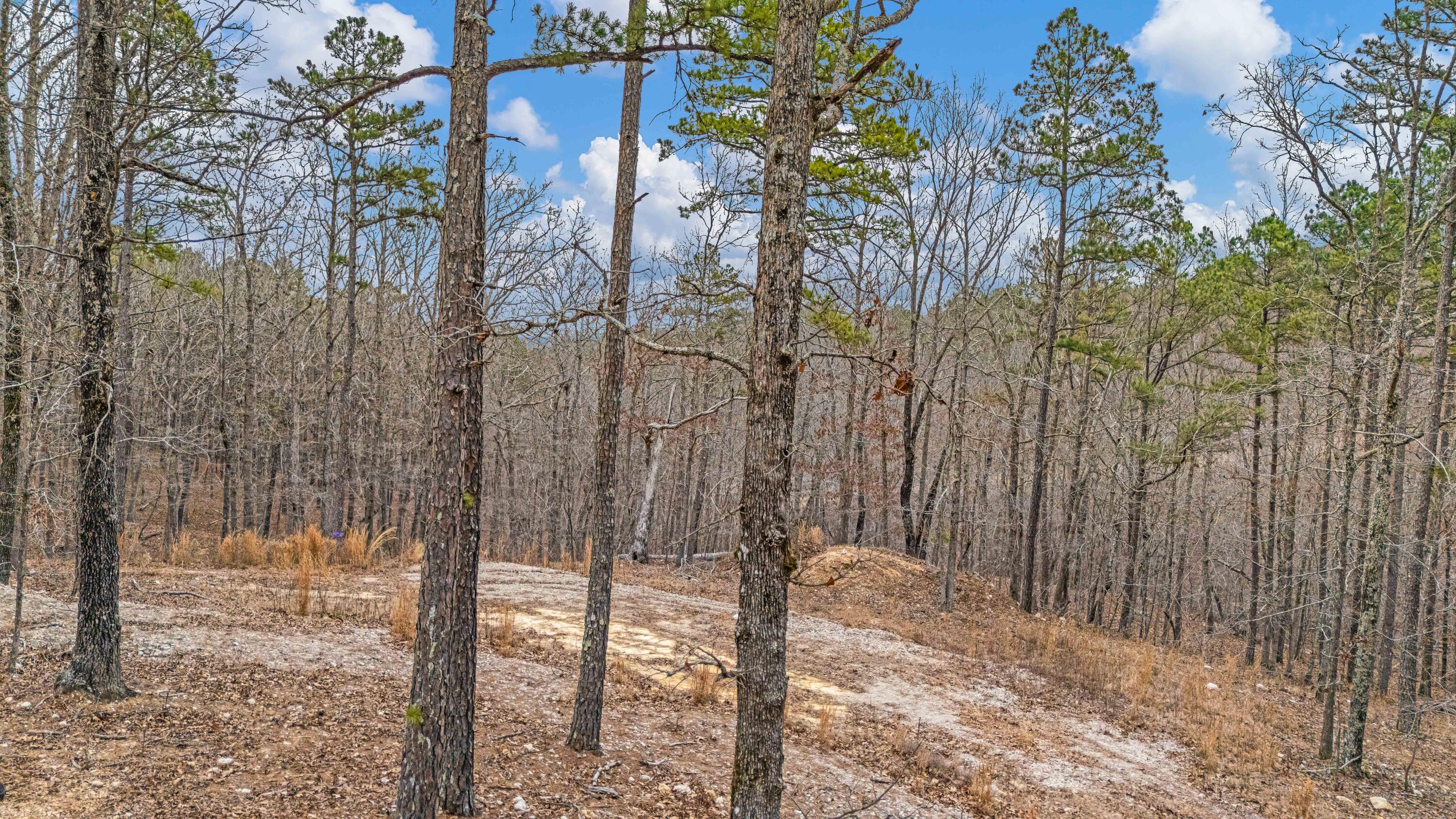 Photo 2 - Land for sale – 467  Timberline Road  Willow Springs, MO