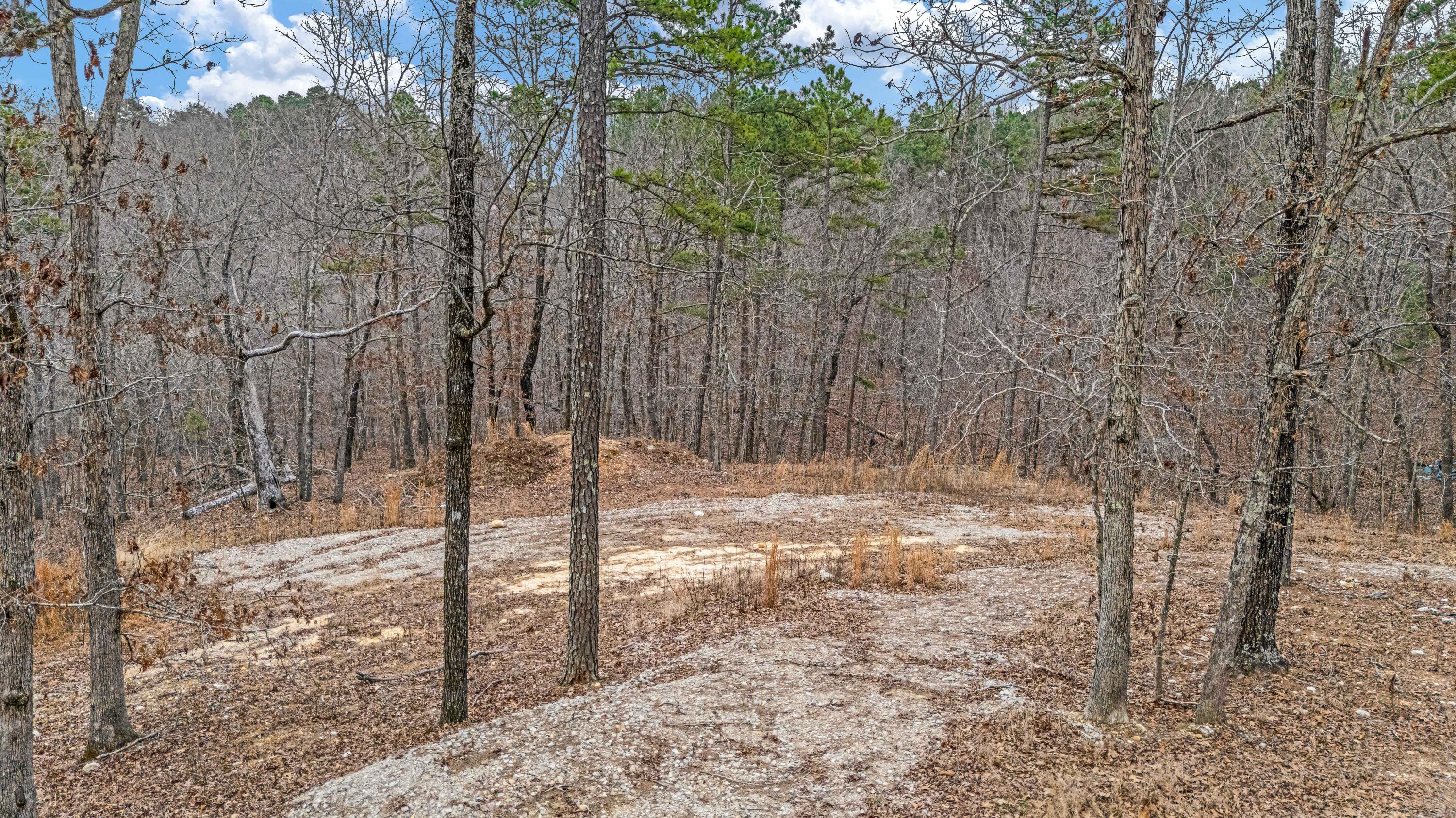 Photo 7 - Land for sale – 467  Timberline Road  Willow Springs, MO