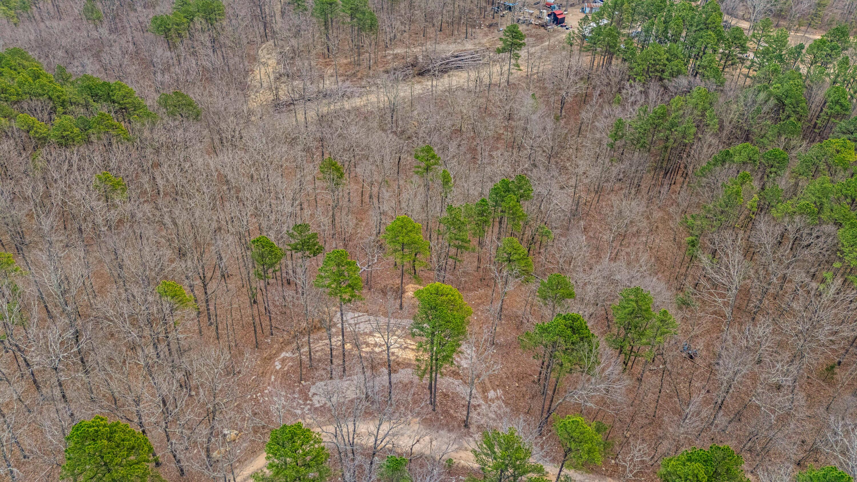 Photo 4 - Land for sale – 467  Timberline Road  Willow Springs, MO