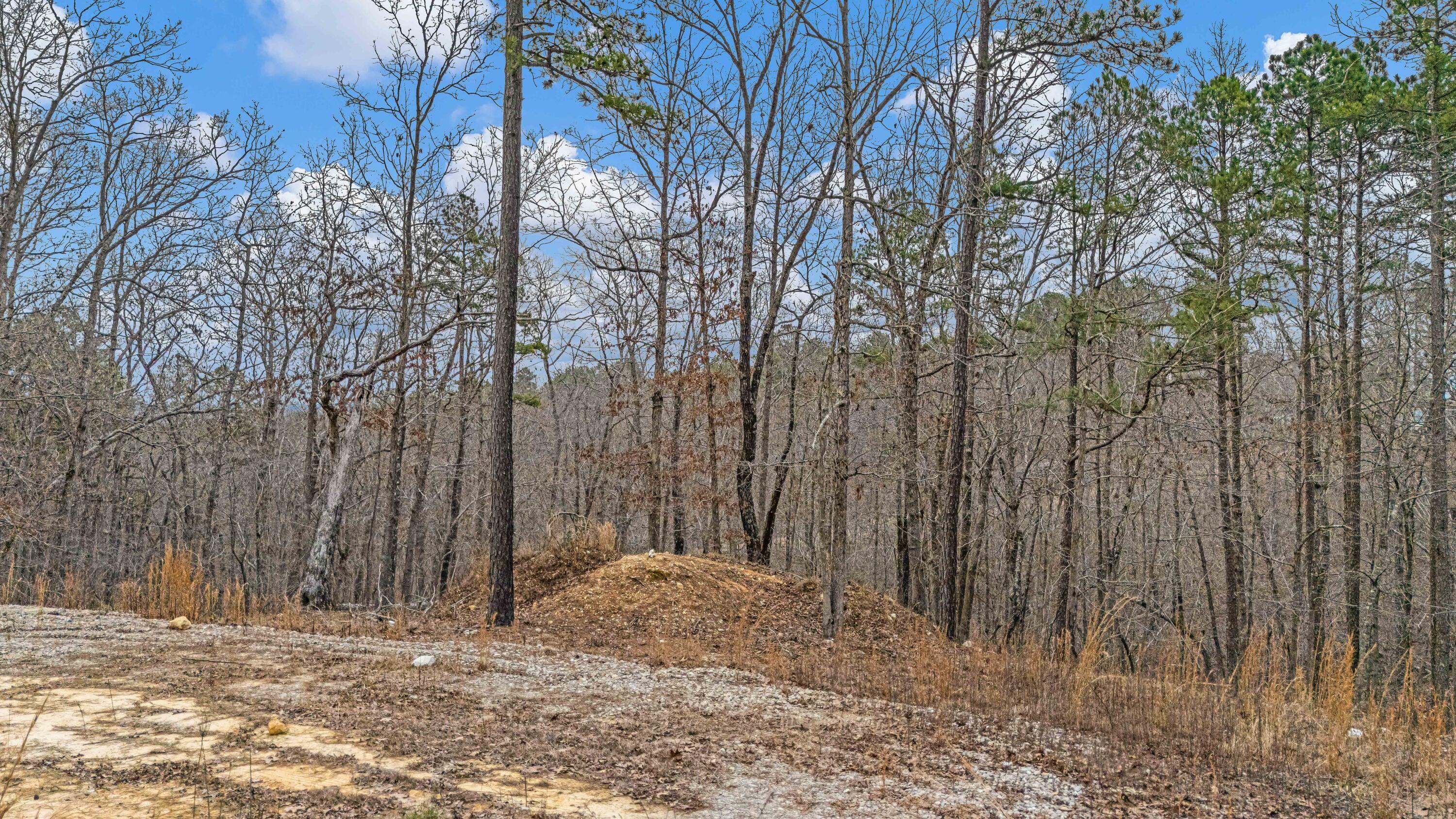 Photo 5 - Land for sale – 467  Timberline Road  Willow Springs, MO