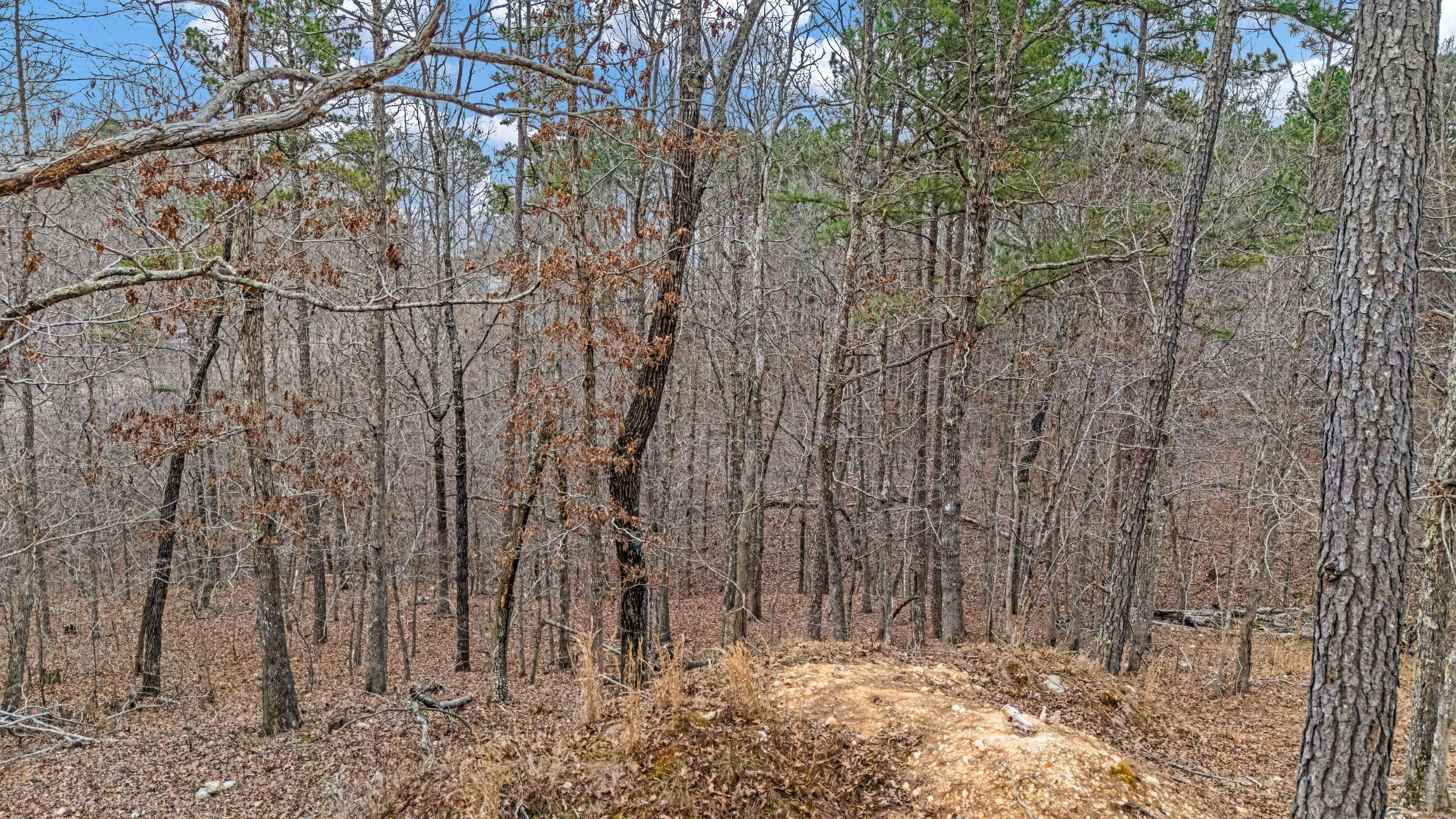 Photo 6 - Land for sale – 467  Timberline Road  Willow Springs, MO