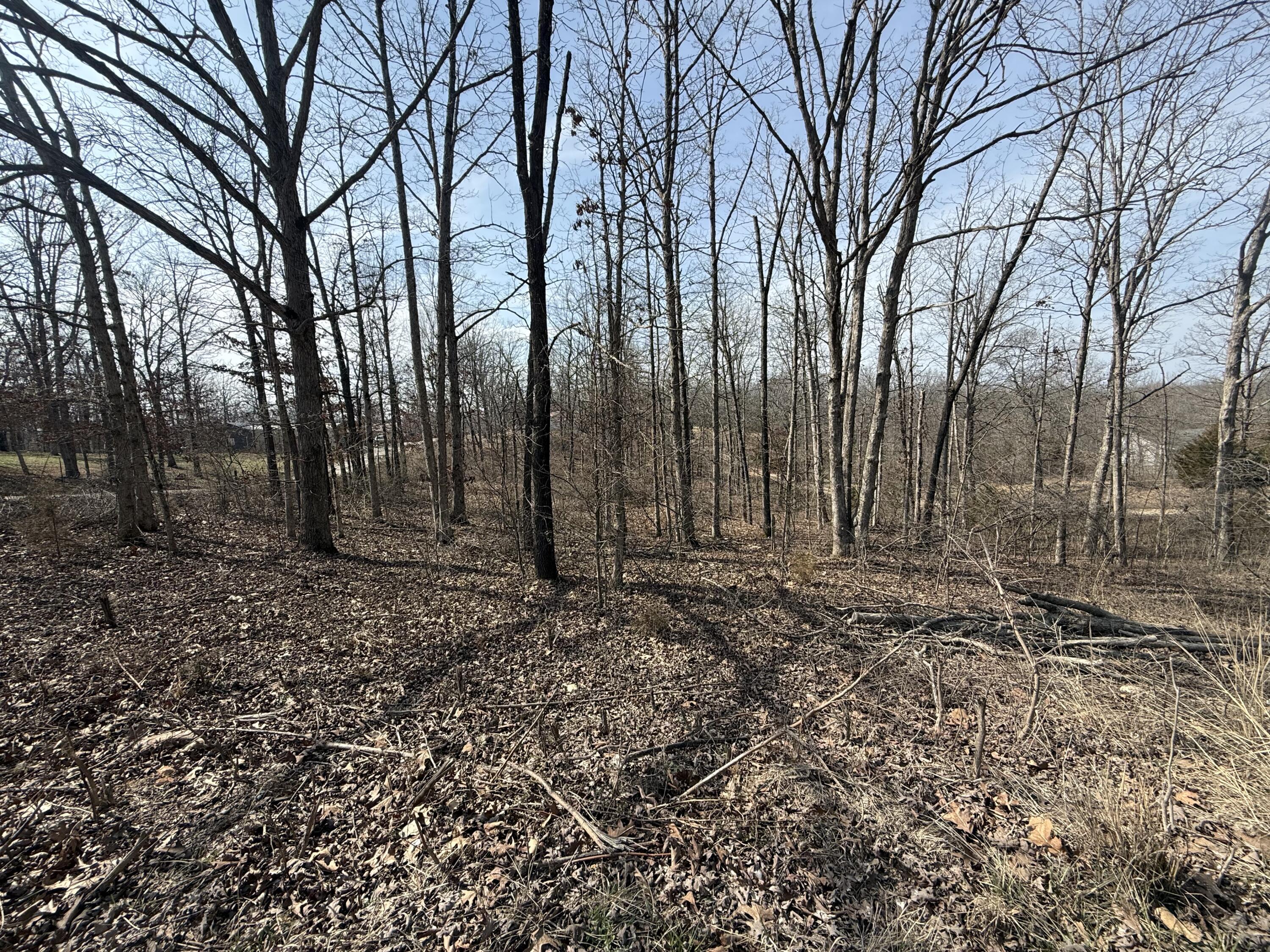 Photo 2 - Land for sale – 373  Private Road 2016   West Plains, MO