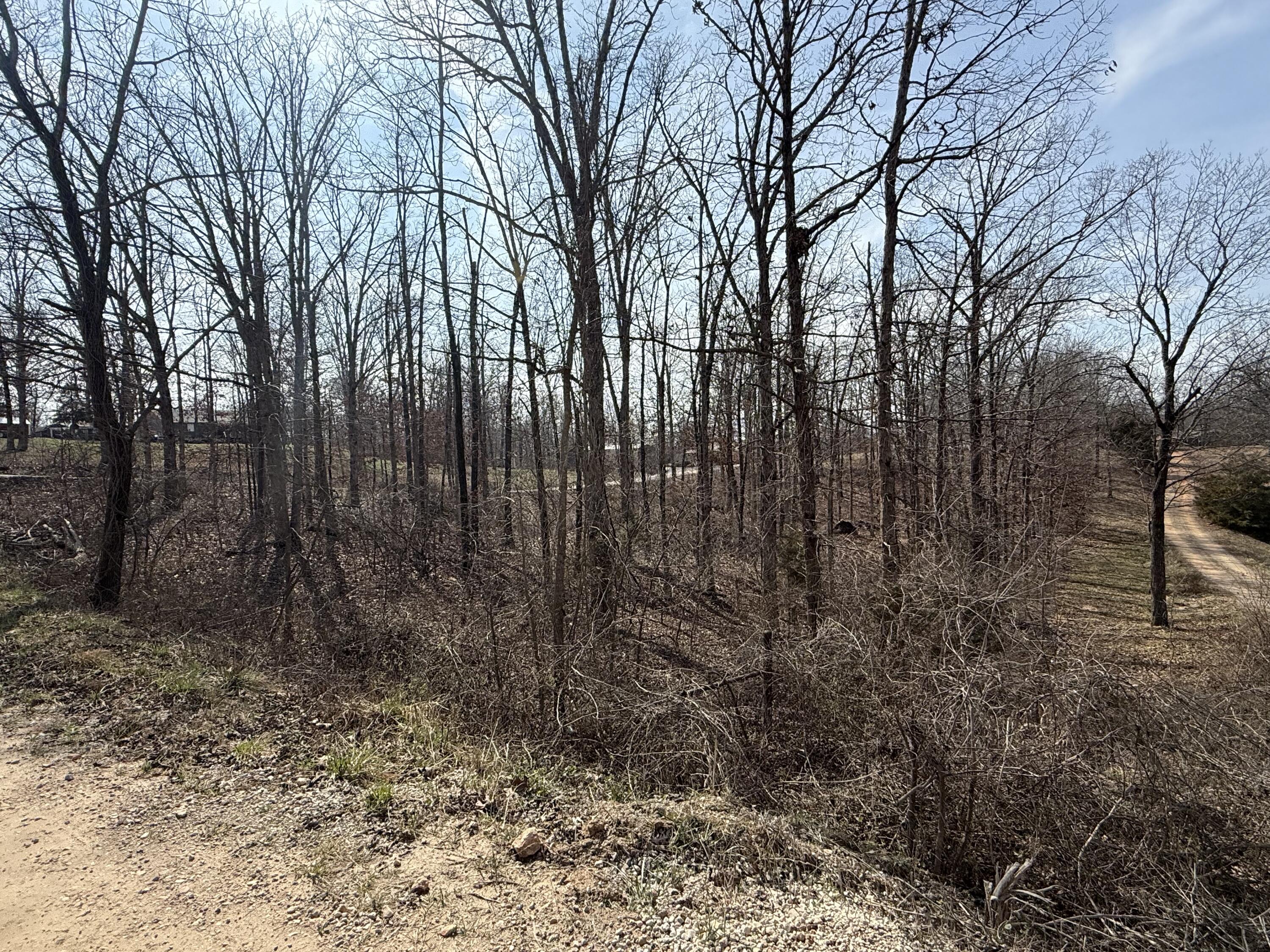 Land for sale – 373 Private Road 2016 West Plains, MO