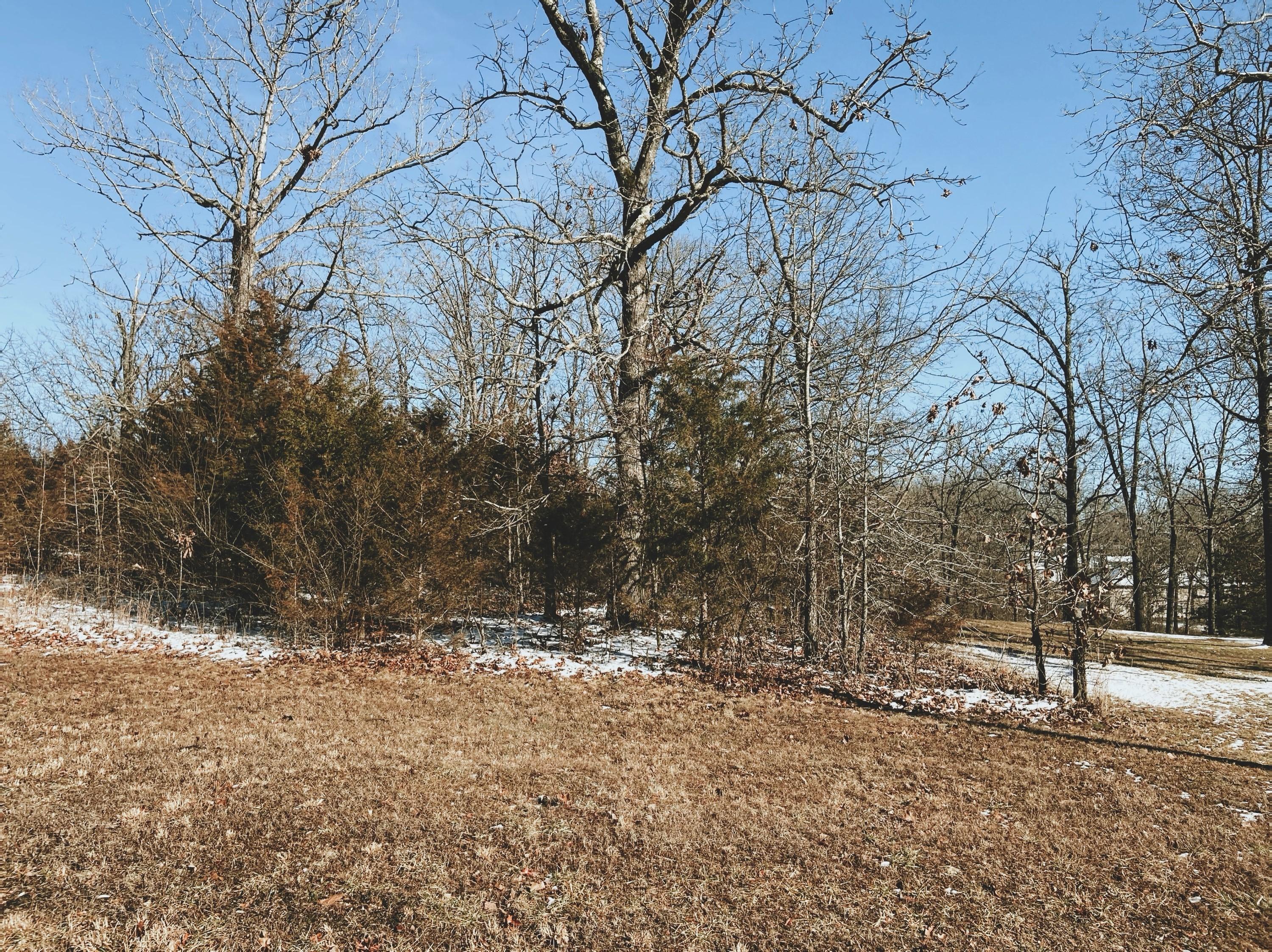 Land for sale – 000  Rhonda Drive Lot 7   West Plains, MO