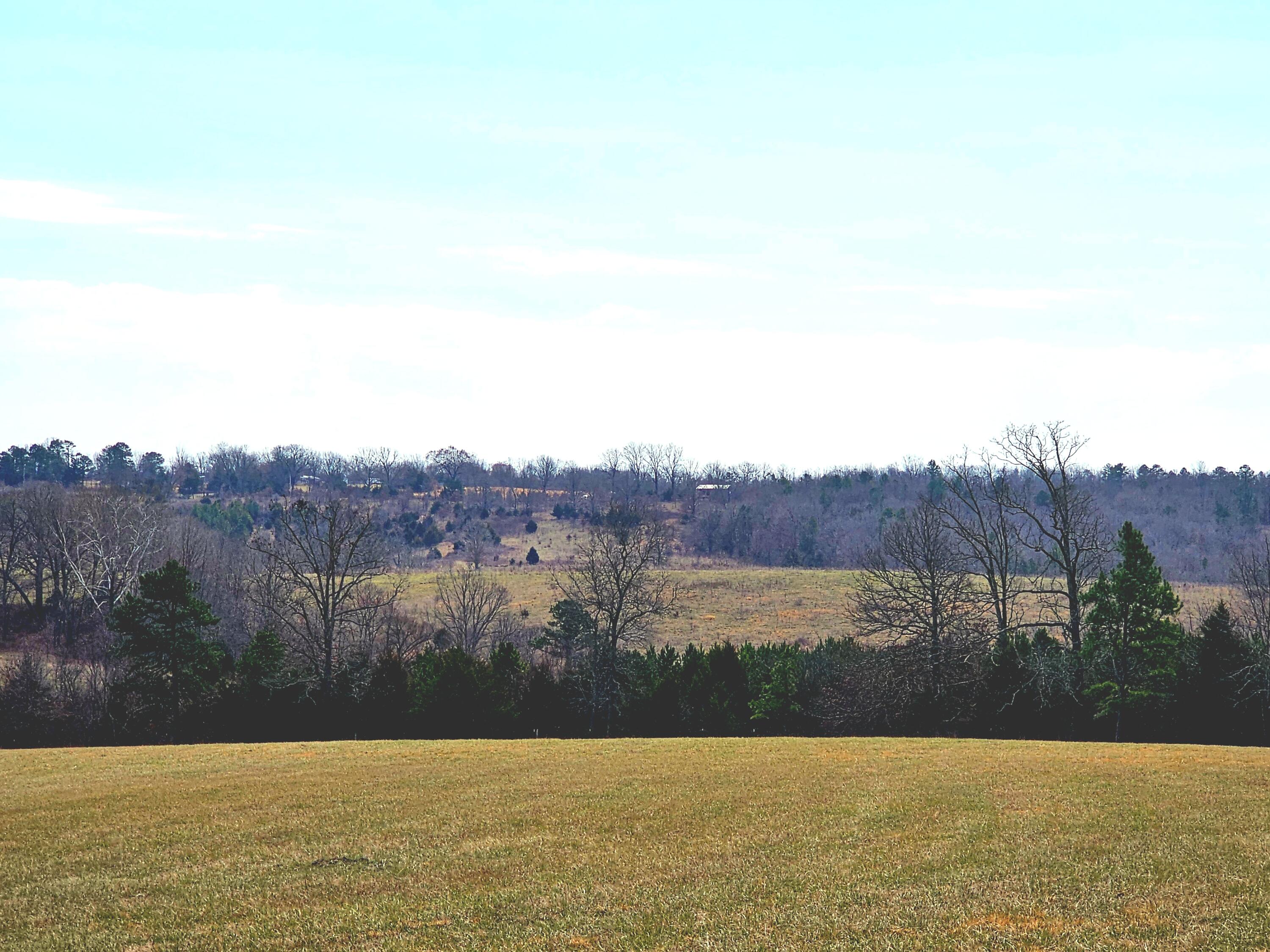 Photo 70 - Farm for sale – 15556  Slab Spring Drive  Licking, MO