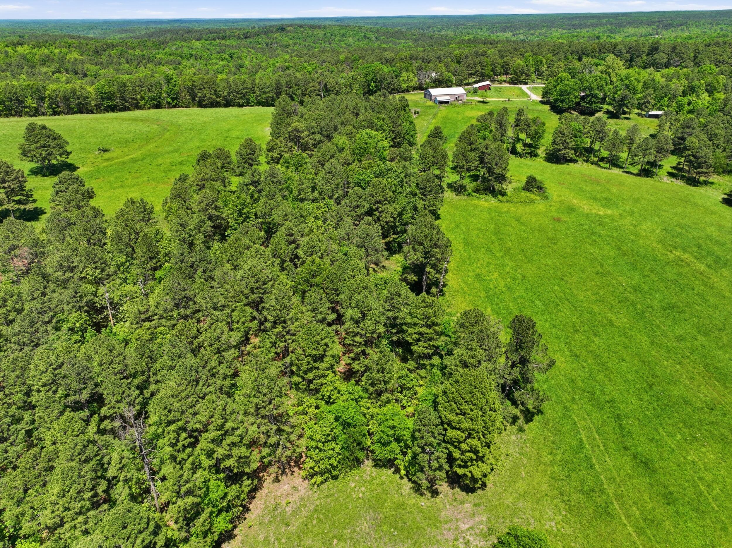 Photo 45 - Farm for sale – 15556  Slab Spring Drive  Licking, MO