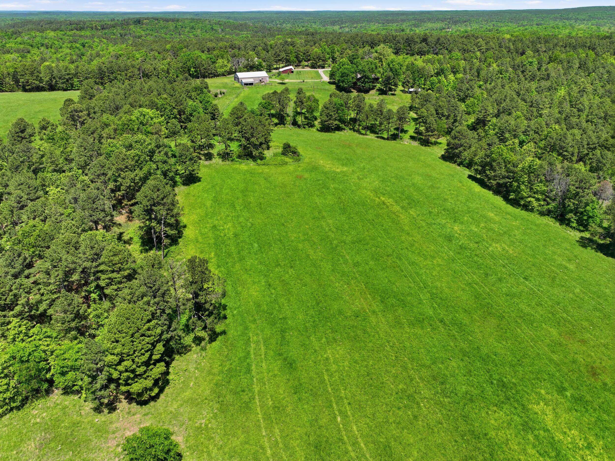 Photo 44 - Farm for sale – 15556  Slab Spring Drive  Licking, MO