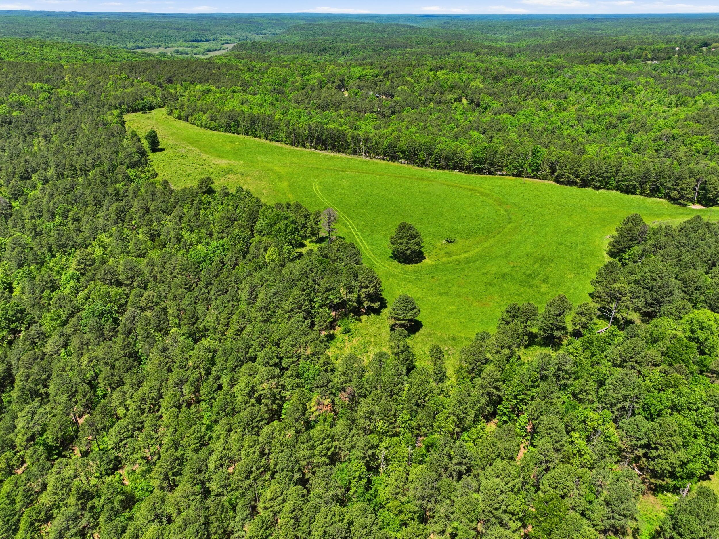 Photo 52 - Farm for sale – 15556  Slab Spring Drive  Licking, MO