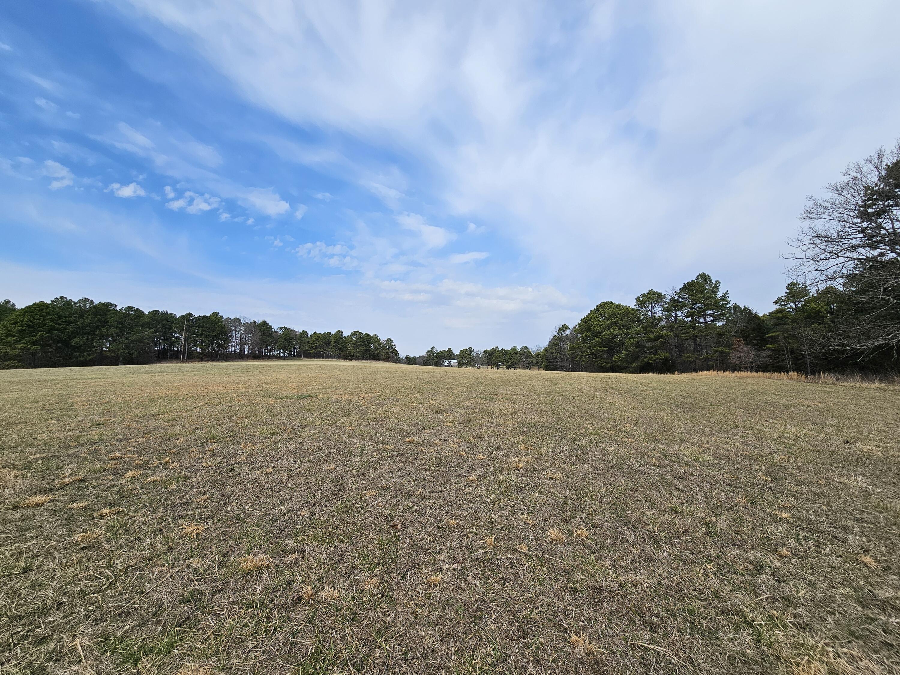 Photo 68 - Farm for sale – 15556  Slab Spring Drive  Licking, MO