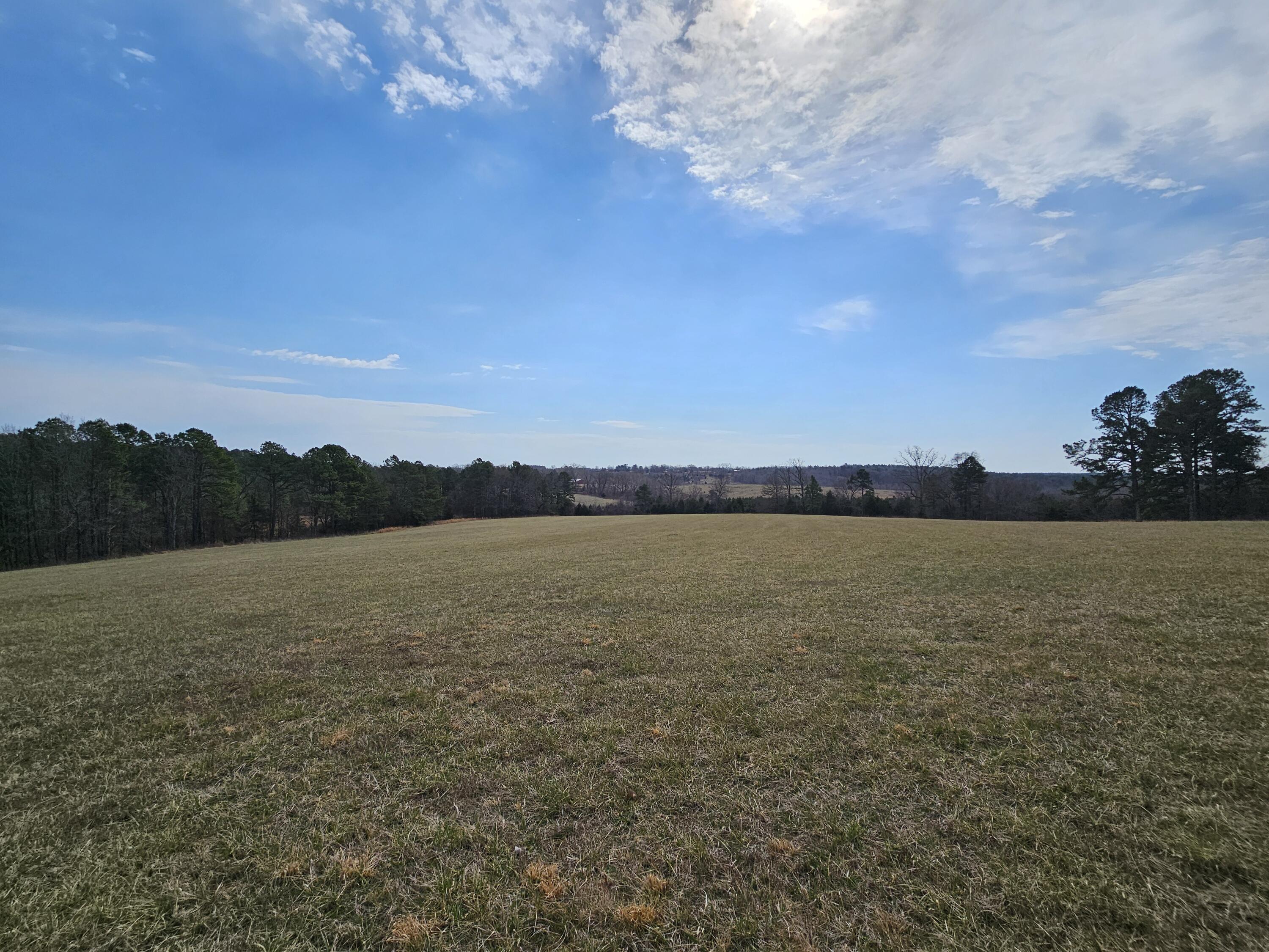 Photo 69 - Farm for sale – 15556  Slab Spring Drive  Licking, MO