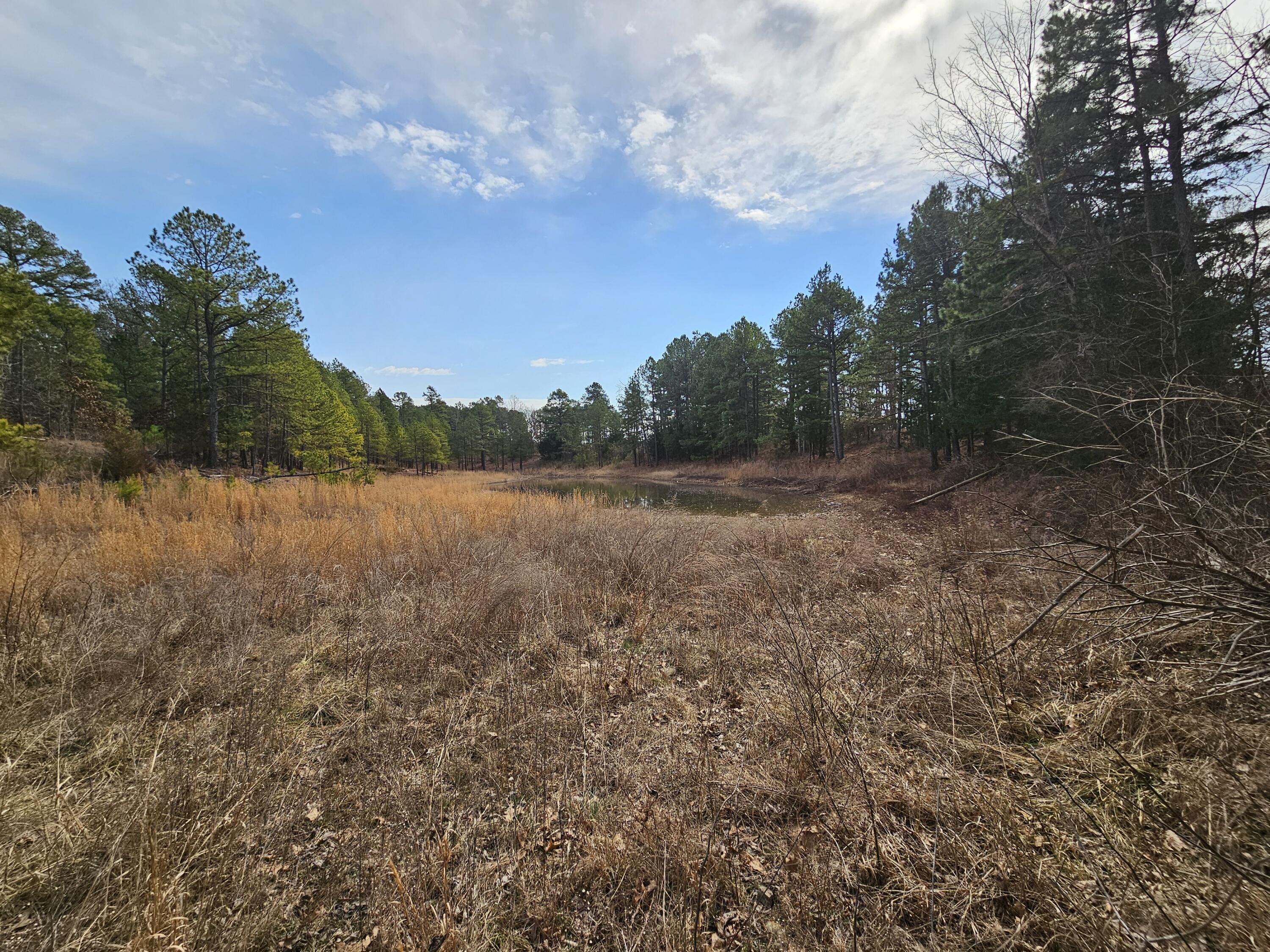 Photo 71 - Farm for sale – 15556  Slab Spring Drive  Licking, MO