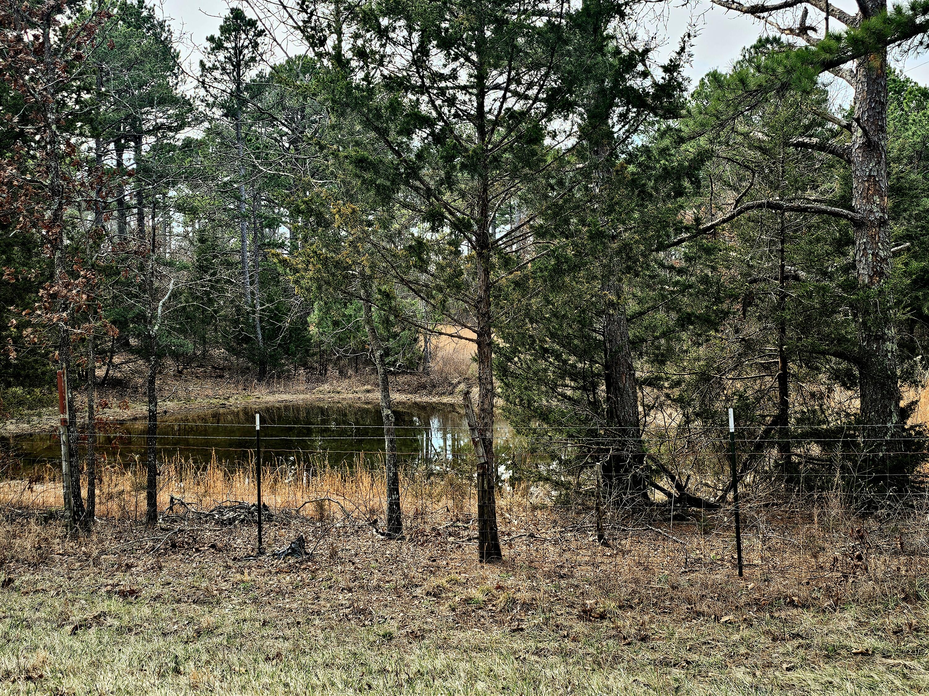 Photo 74 - Farm for sale – 15556  Slab Spring Drive  Licking, MO