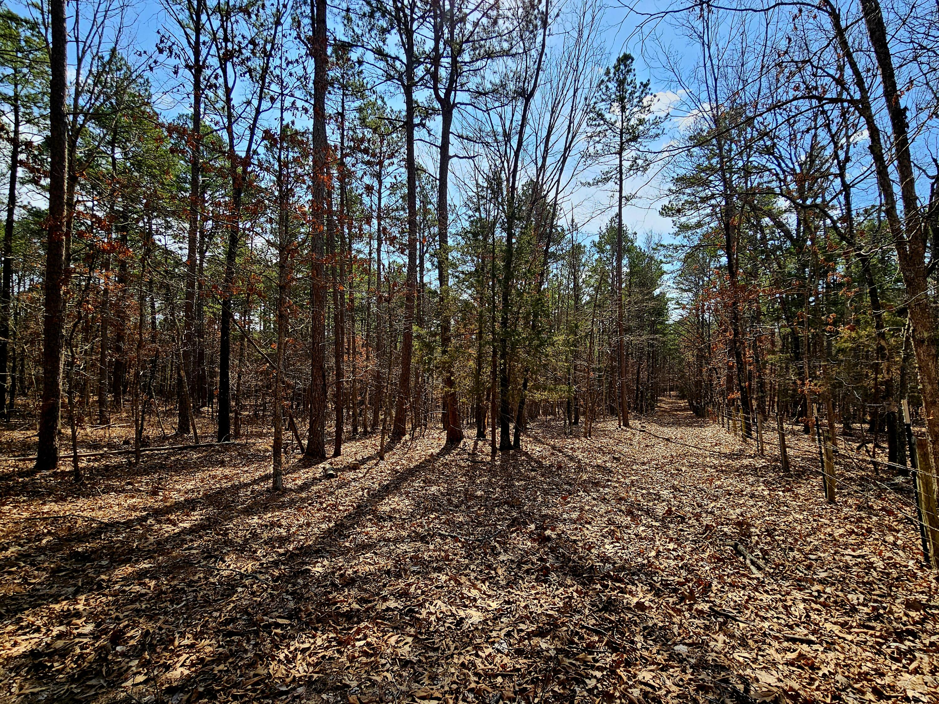 Photo 63 - Farm for sale – 15556  Slab Spring Drive  Licking, MO