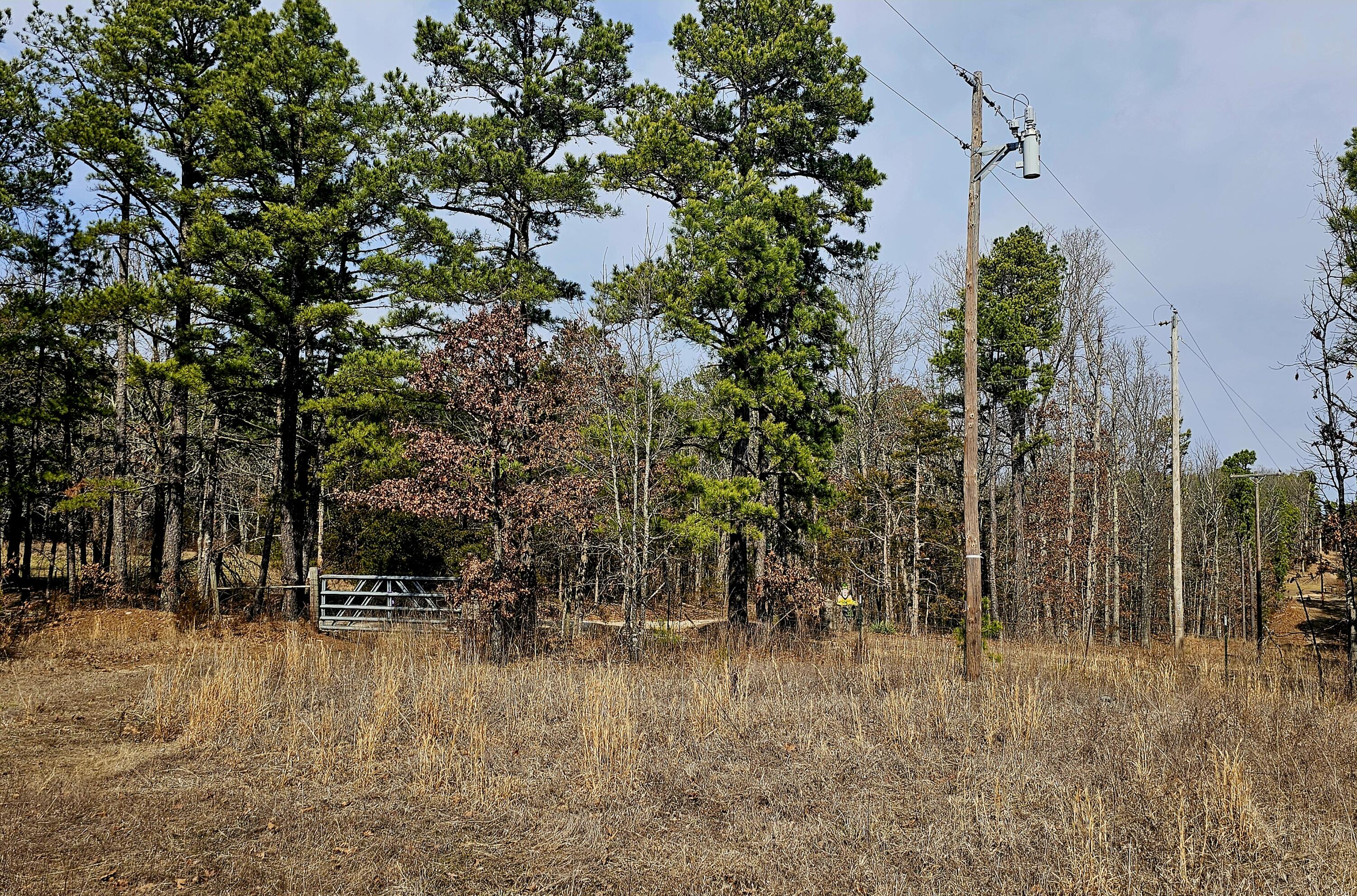 Photo 66 - Farm for sale – 15556  Slab Spring Drive  Licking, MO