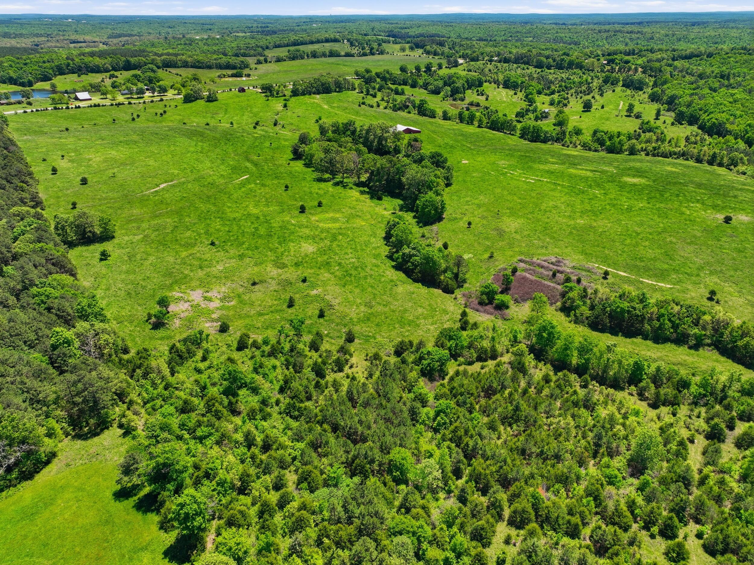 Photo 49 - Farm for sale – 15556  Slab Spring Drive  Licking, MO