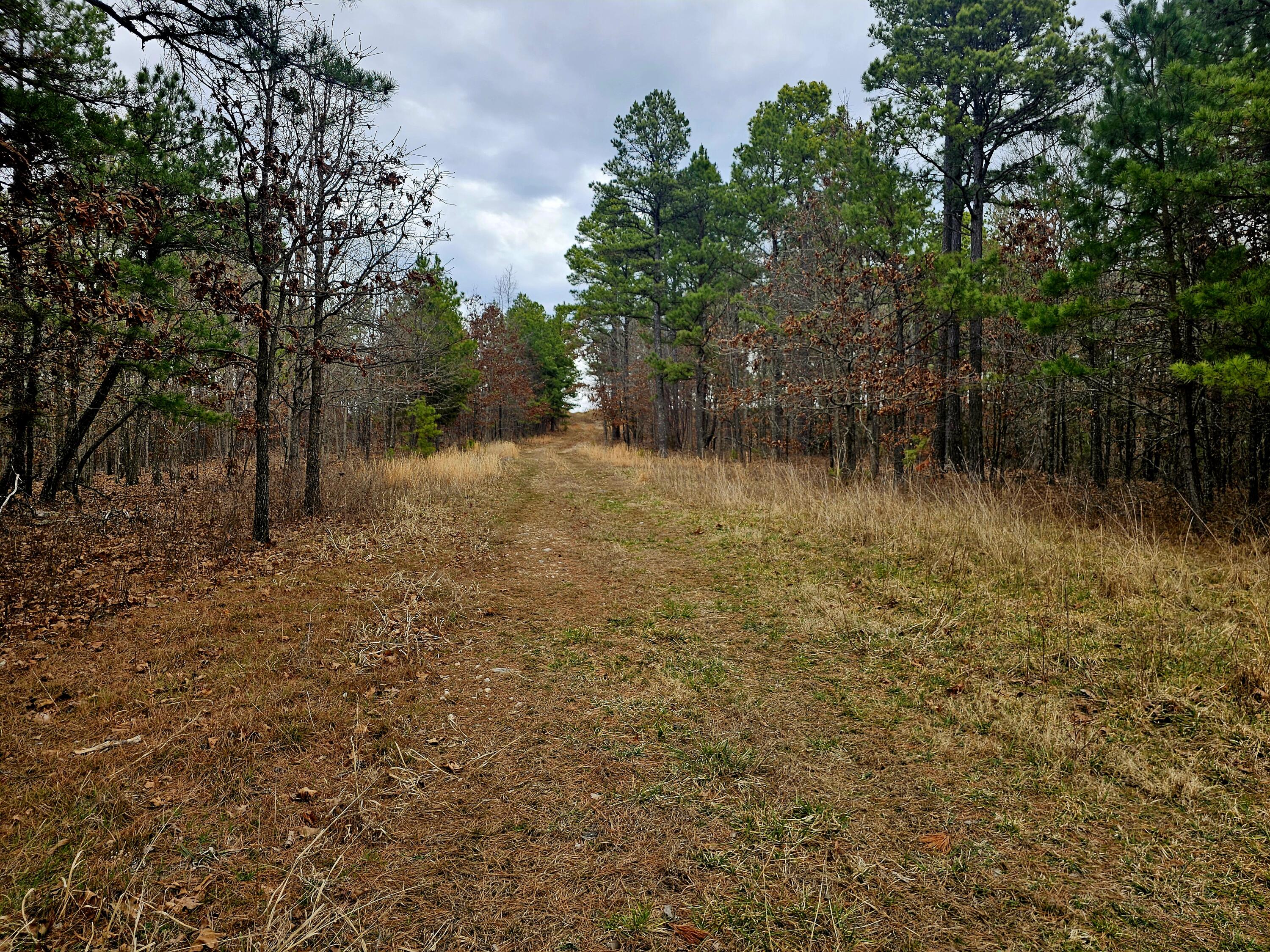 Photo 56 - Farm for sale – 15556  Slab Spring Drive  Licking, MO