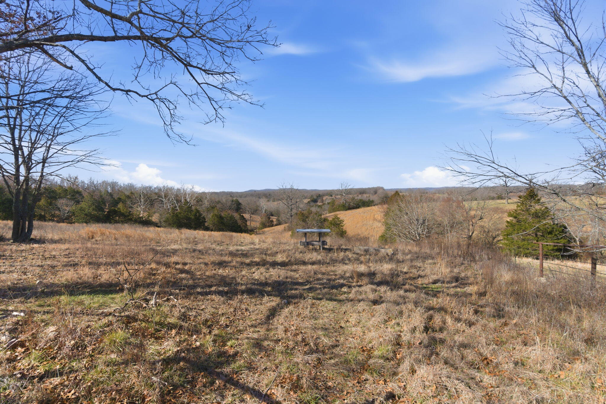 Photo 3 - Land for sale – 000  State Highway D Tract 2   Thornfield, MO