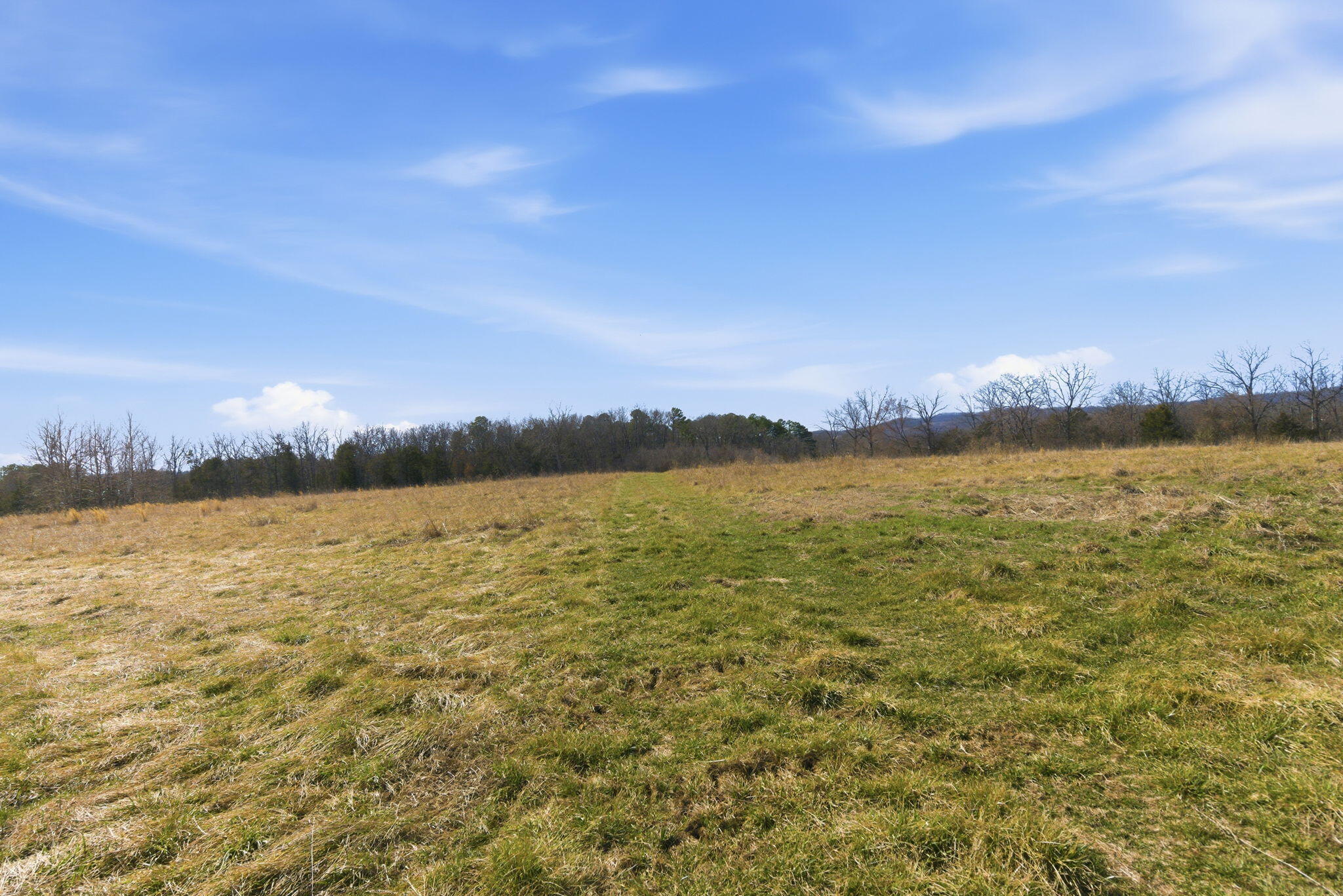 Photo 4 - Land for sale – 000  State Highway D Tract 2   Thornfield, MO