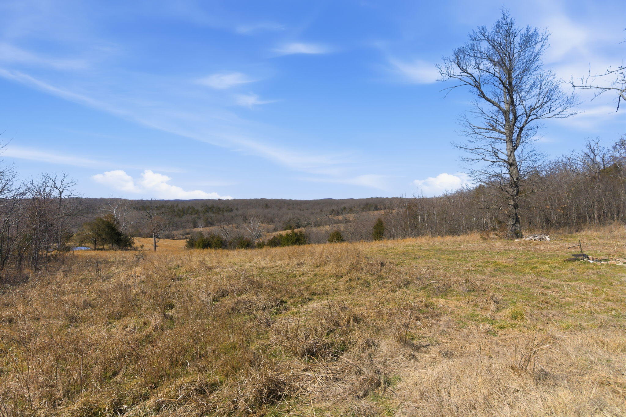Photo 5 - Land for sale – 000  State Highway D Tract 2   Thornfield, MO
