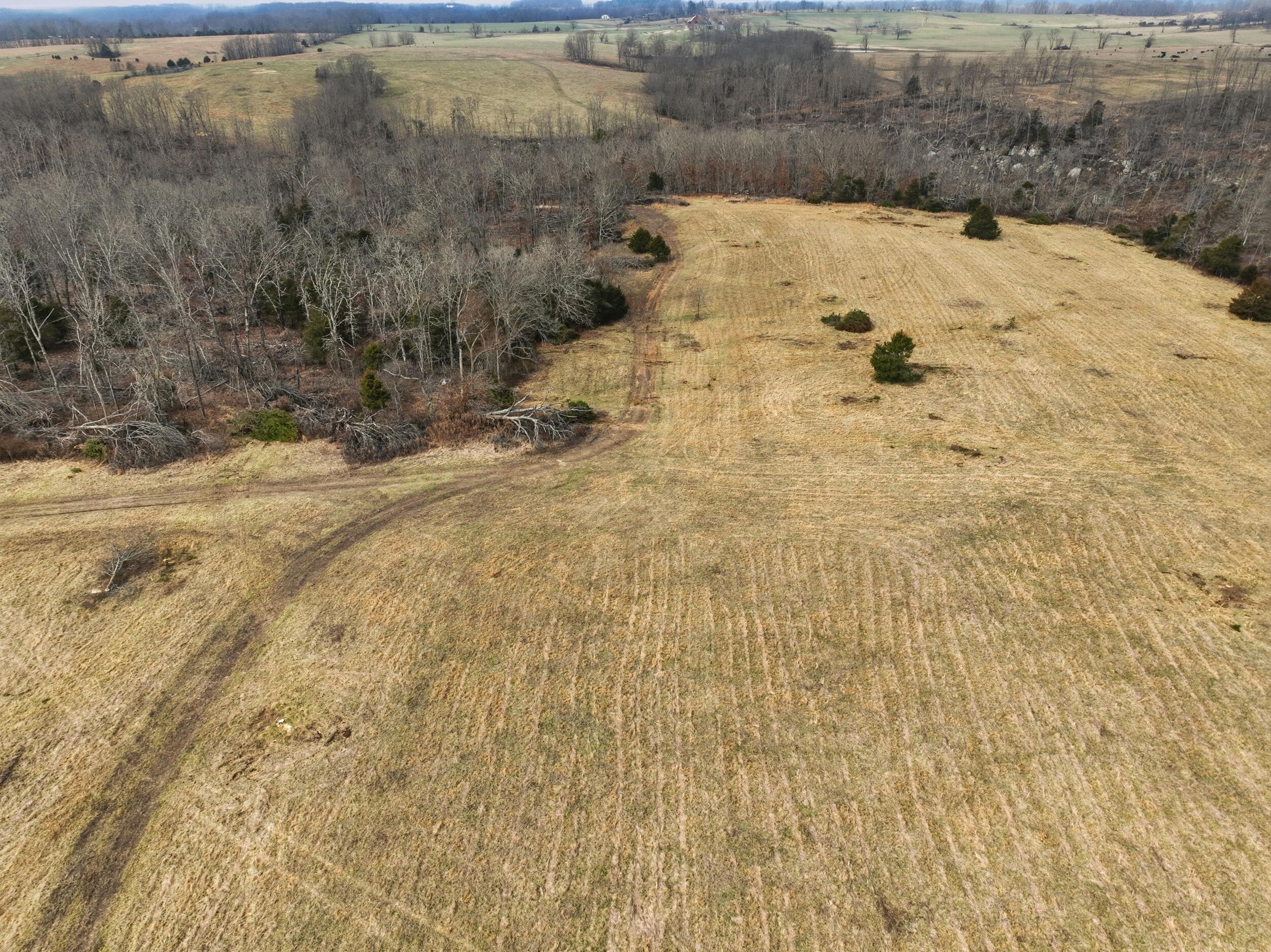 Photo 21 - Land for sale – 000  County Road 60-489   Birch Tree, MO