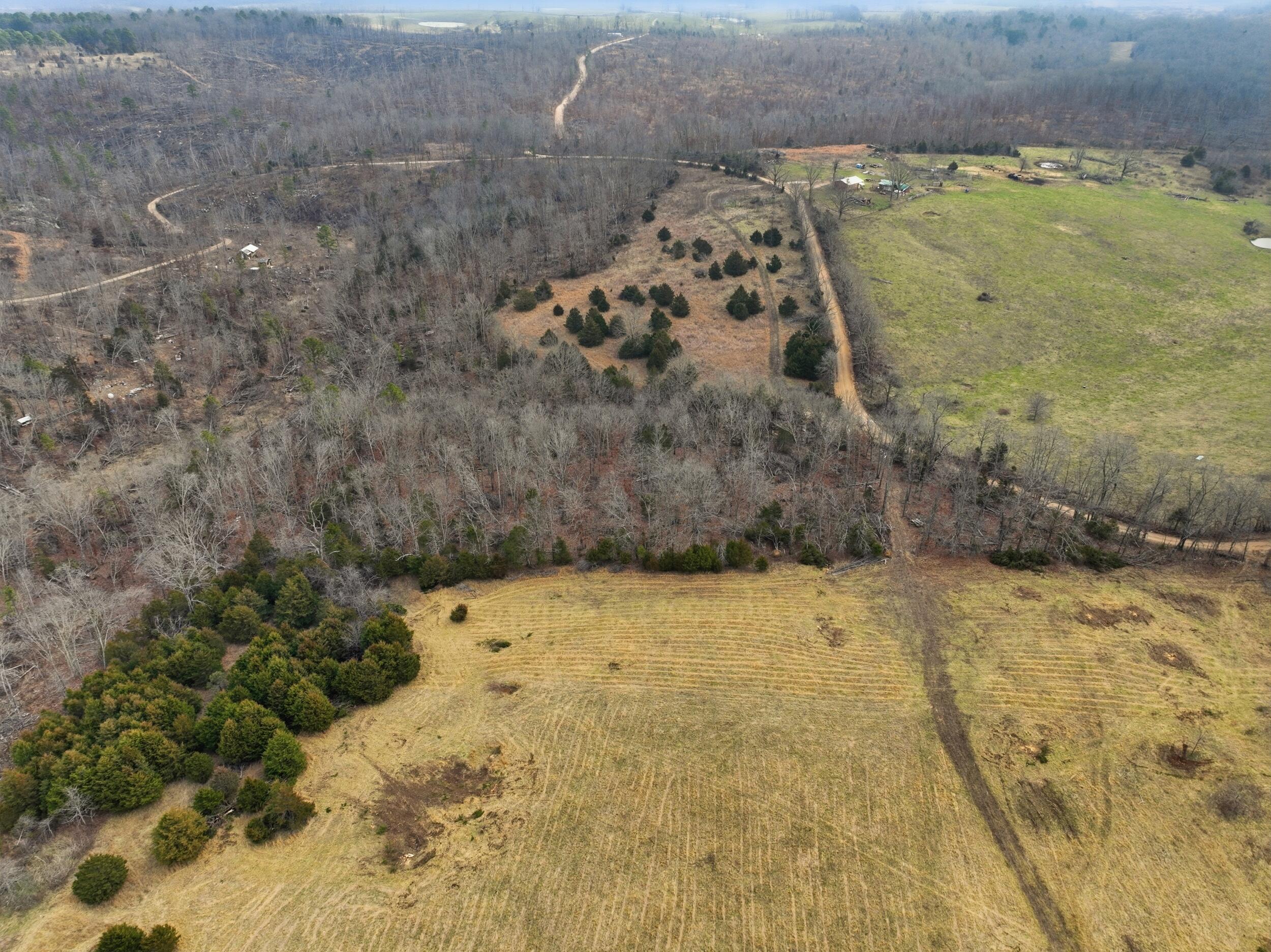 Photo 13 - Land for sale – 000  County Road 60-489   Birch Tree, MO