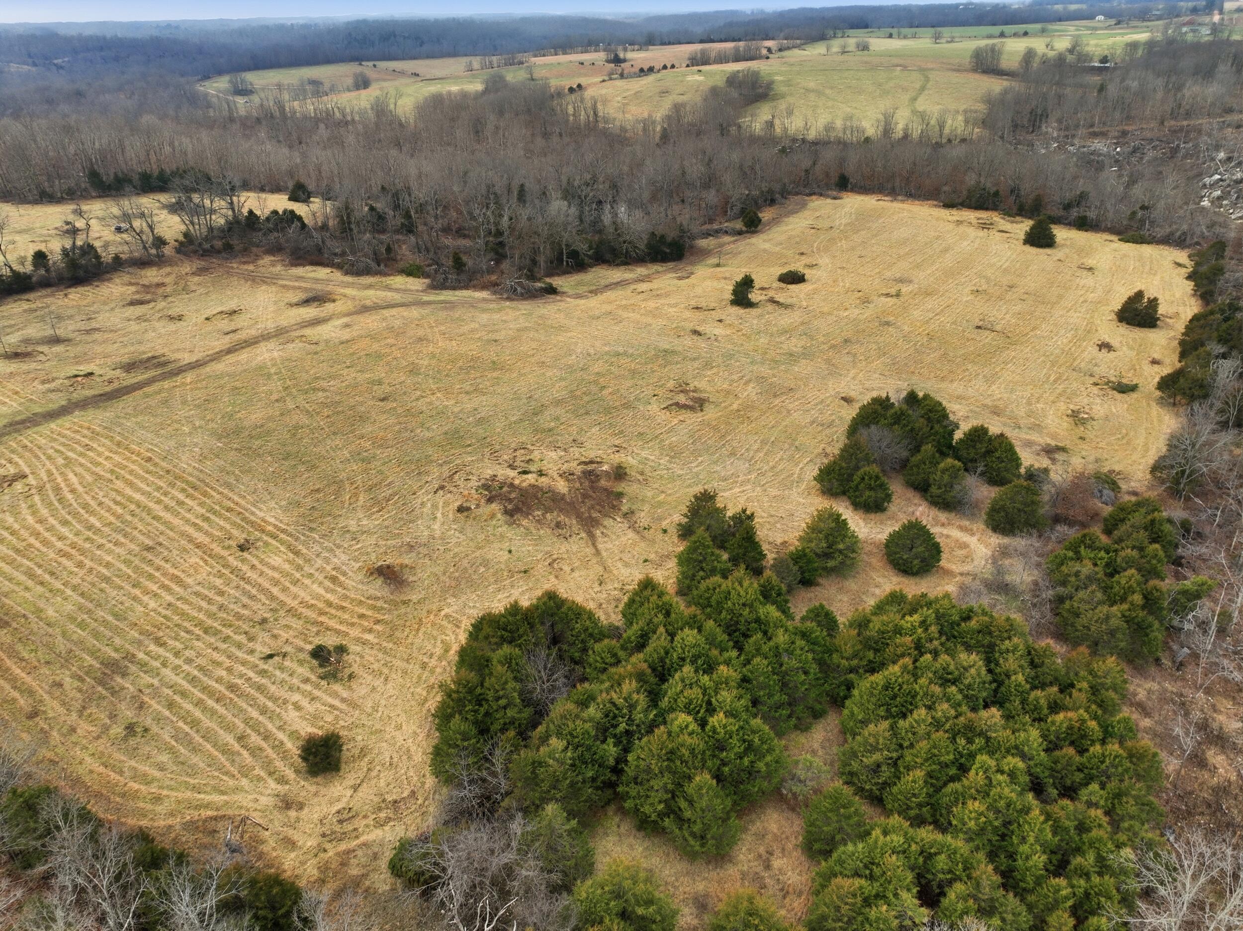 Photo 17 - Land for sale – 000  County Road 60-489   Birch Tree, MO