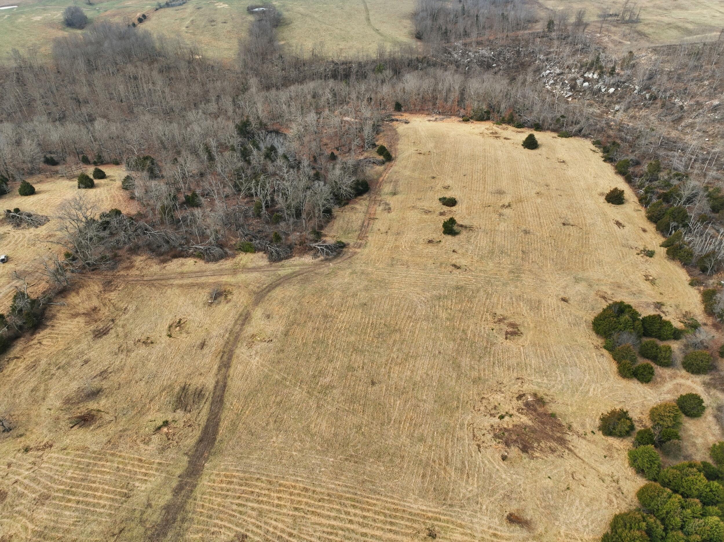 Photo 9 - Land for sale – 000  County Road 60-489   Birch Tree, MO
