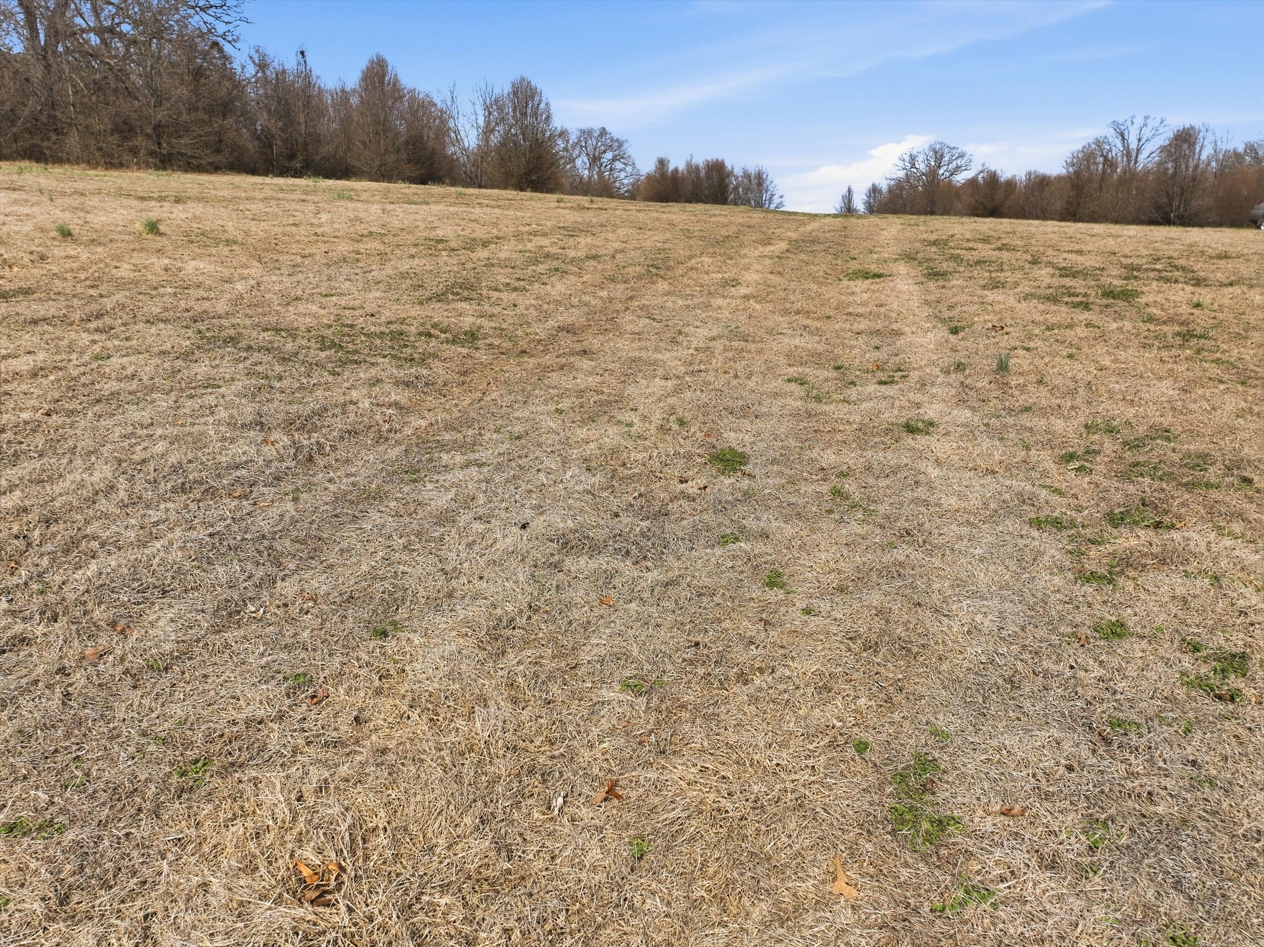 Photo 5 - Land for sale – 000  County Road 60-489   Birch Tree, MO