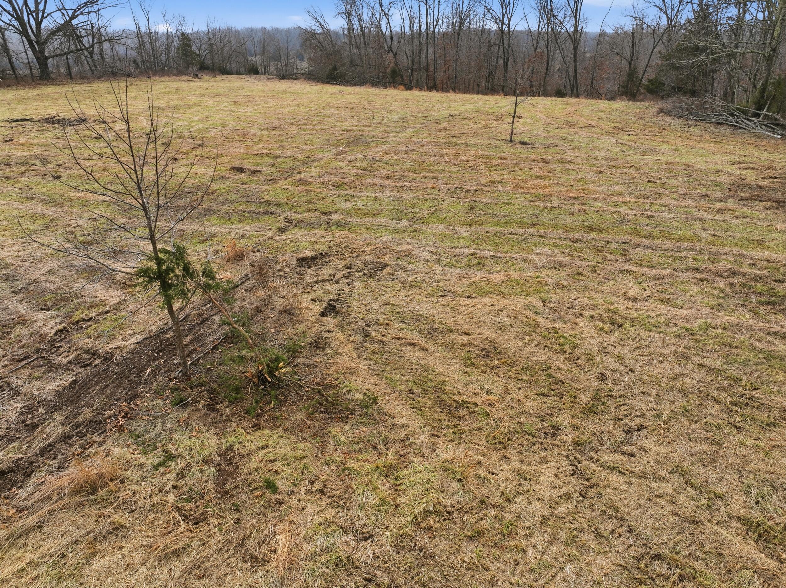 Photo 6 - Land for sale – 000  County Road 60-489   Birch Tree, MO