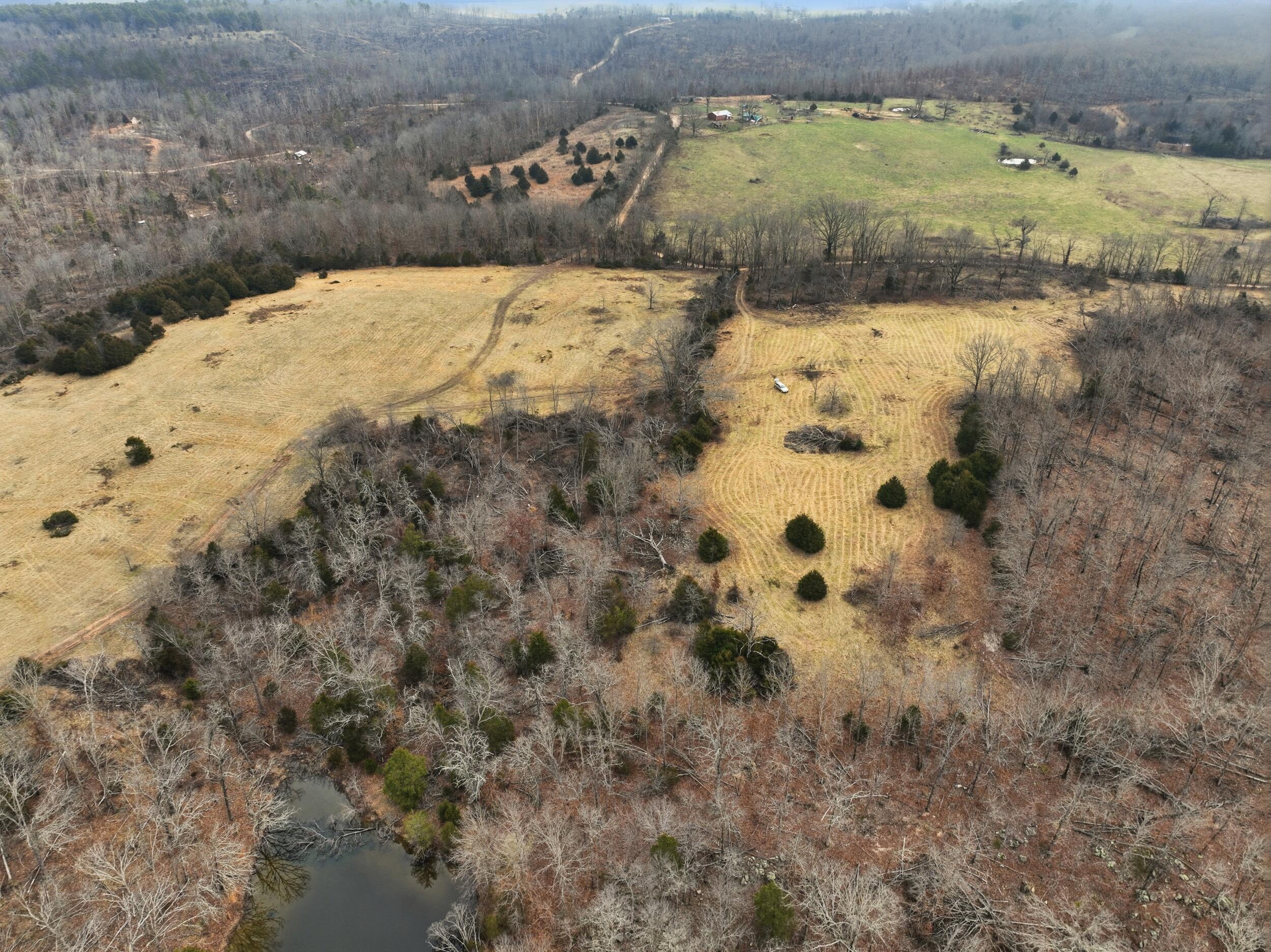 Photo 12 - Land for sale – 000  County Road 60-489   Birch Tree, MO