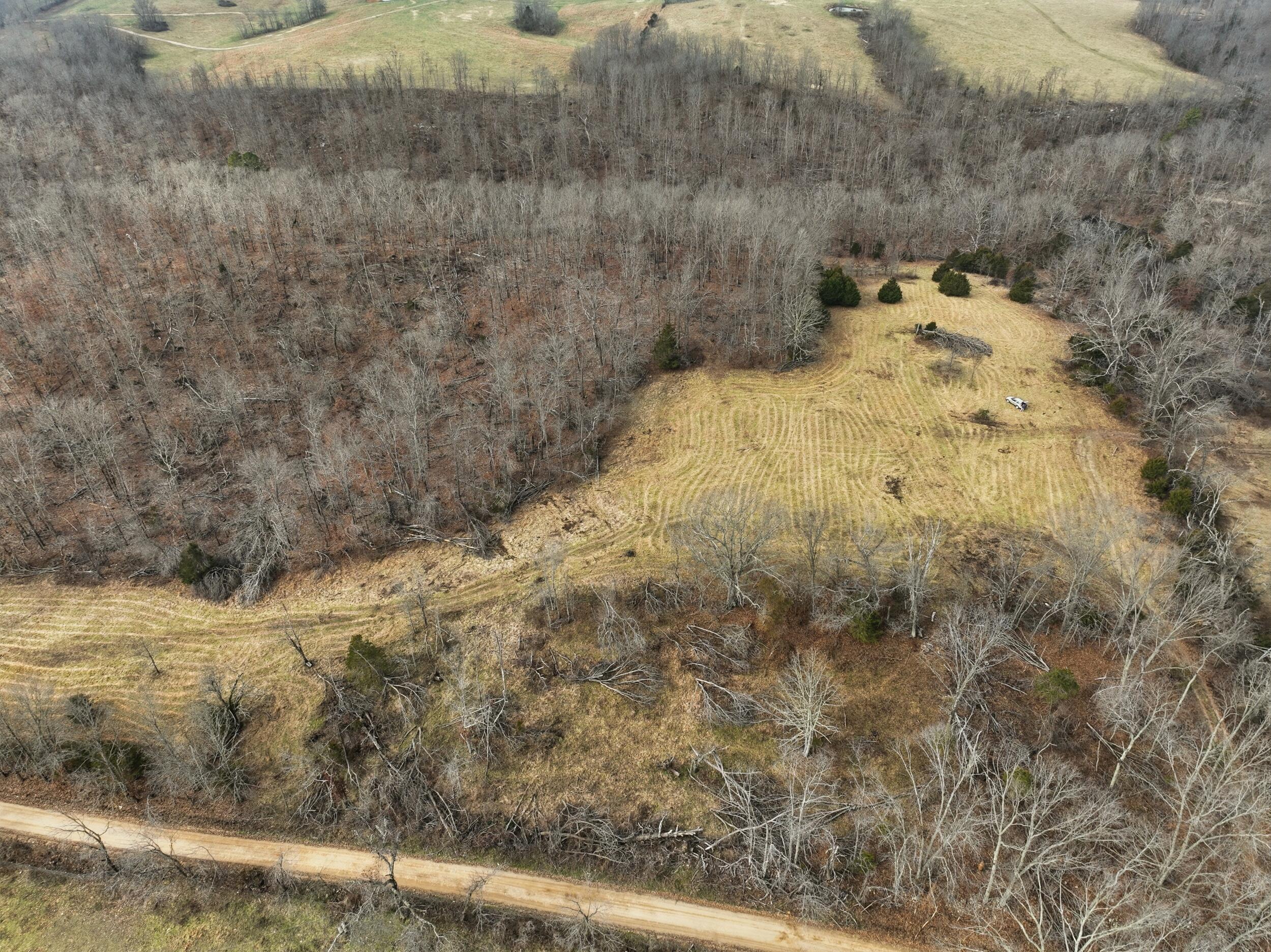 Photo 8 - Land for sale – 000  County Road 60-489   Birch Tree, MO