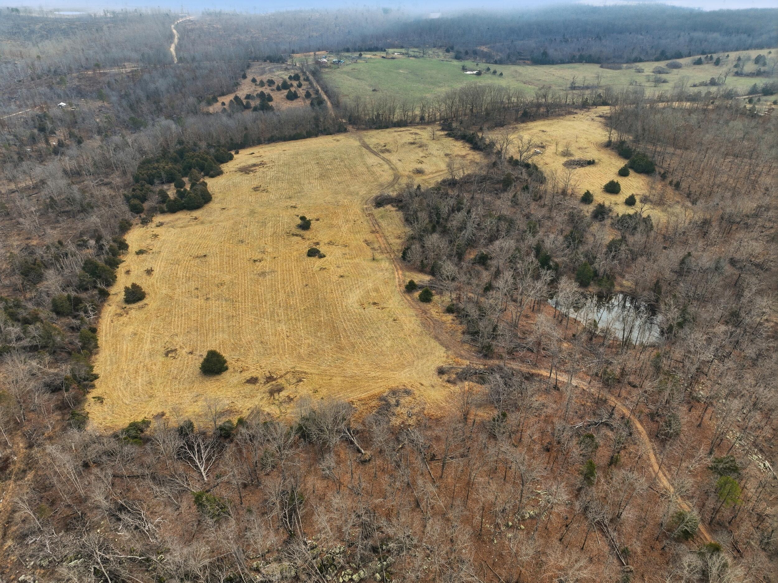 Photo 11 - Land for sale – 000  County Road 60-489   Birch Tree, MO