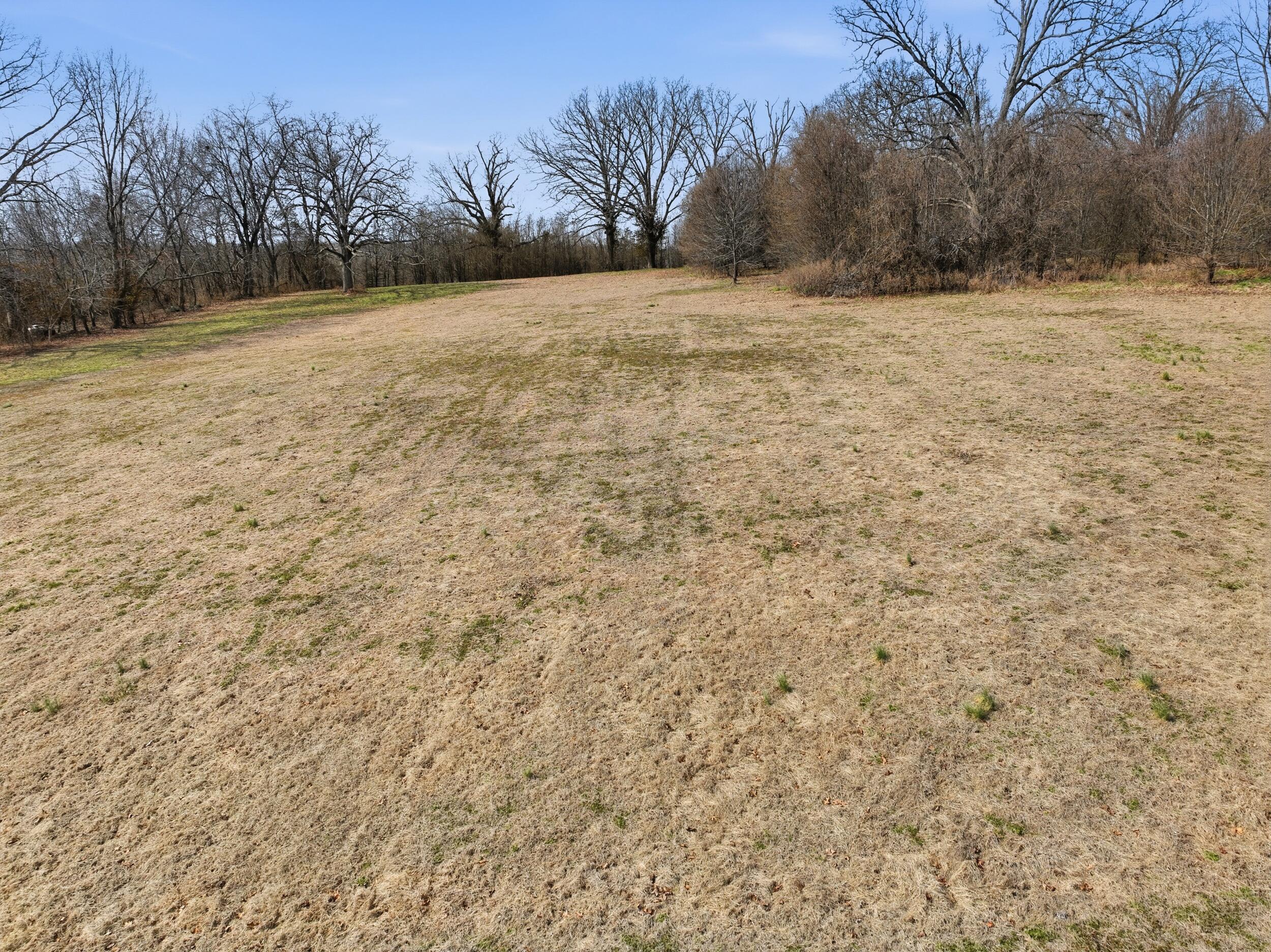 Photo 3 - Land for sale – 000  County Road 60-489   Birch Tree, MO