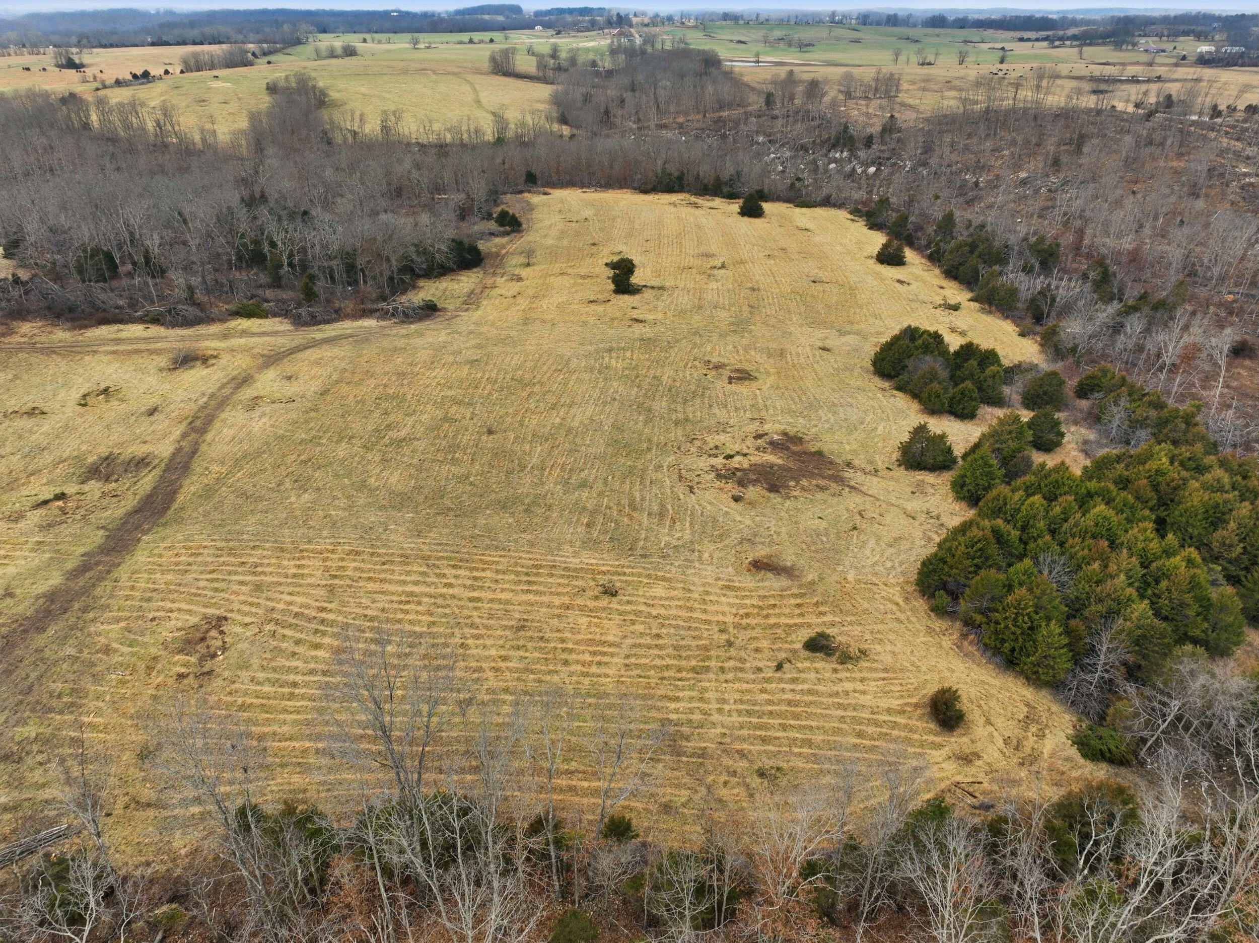 Photo 16 - Land for sale – 000  County Road 60-489   Birch Tree, MO