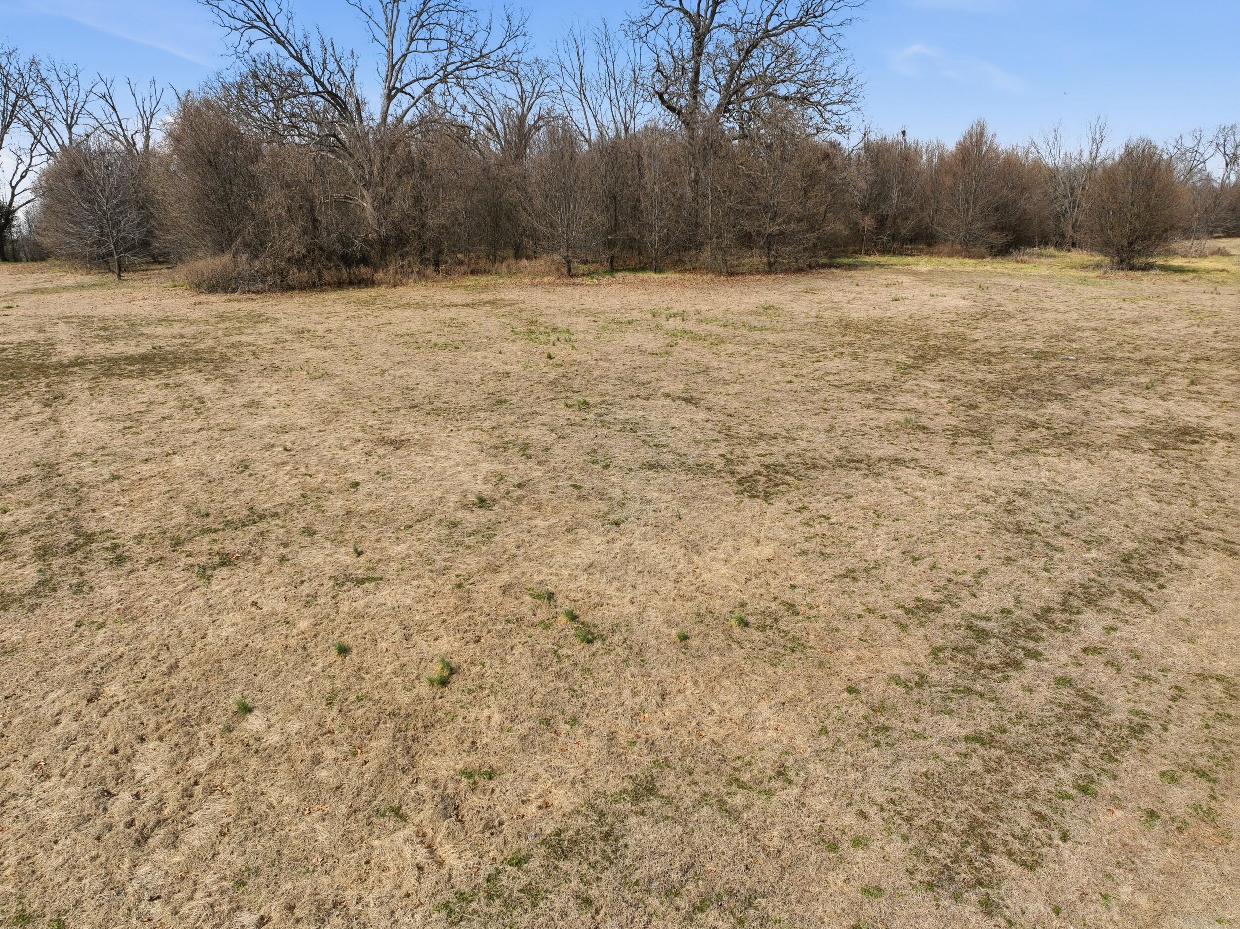 Photo 4 - Land for sale – 000  County Road 60-489   Birch Tree, MO