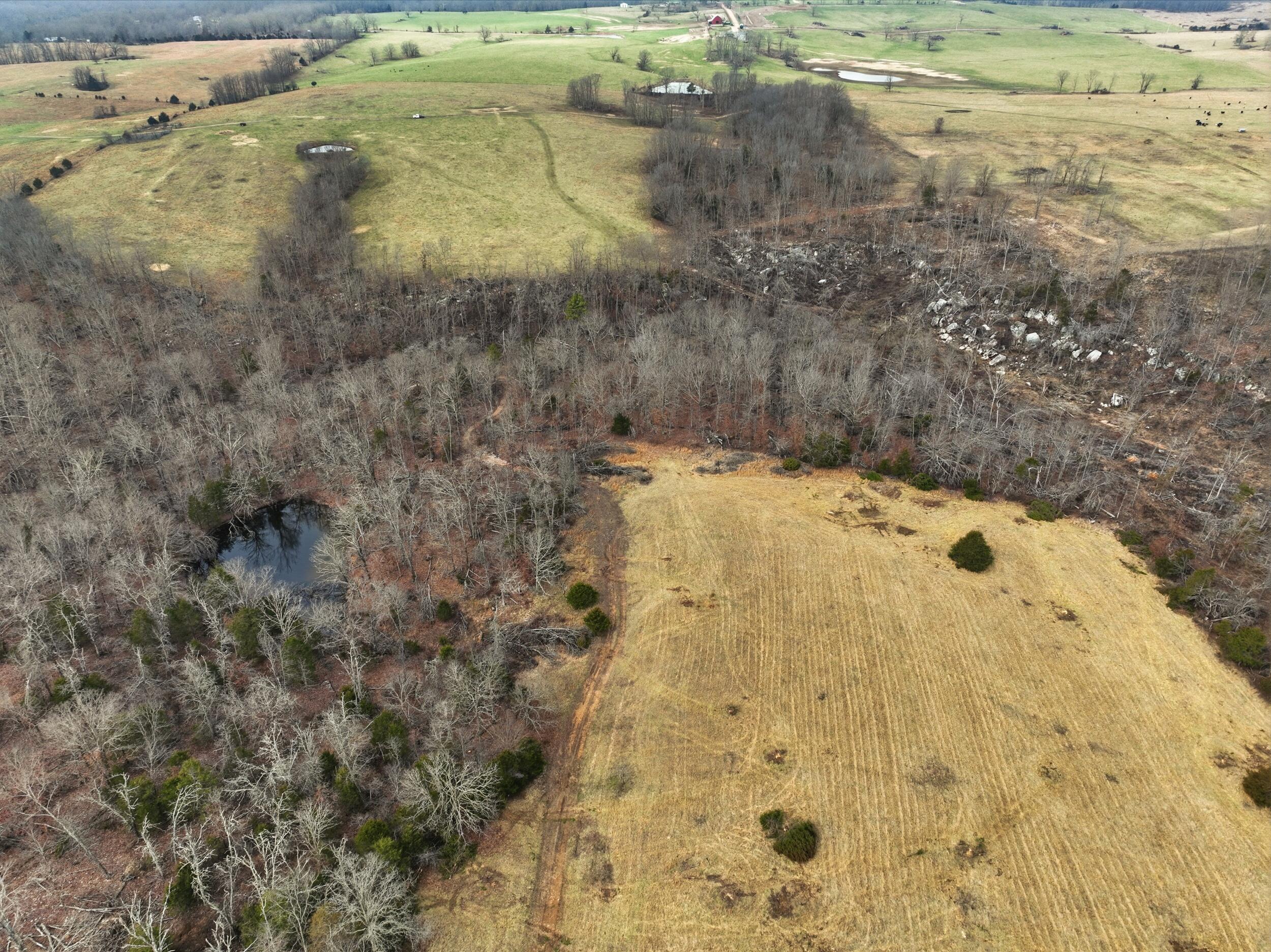 Photo 10 - Land for sale – 000  County Road 60-489   Birch Tree, MO