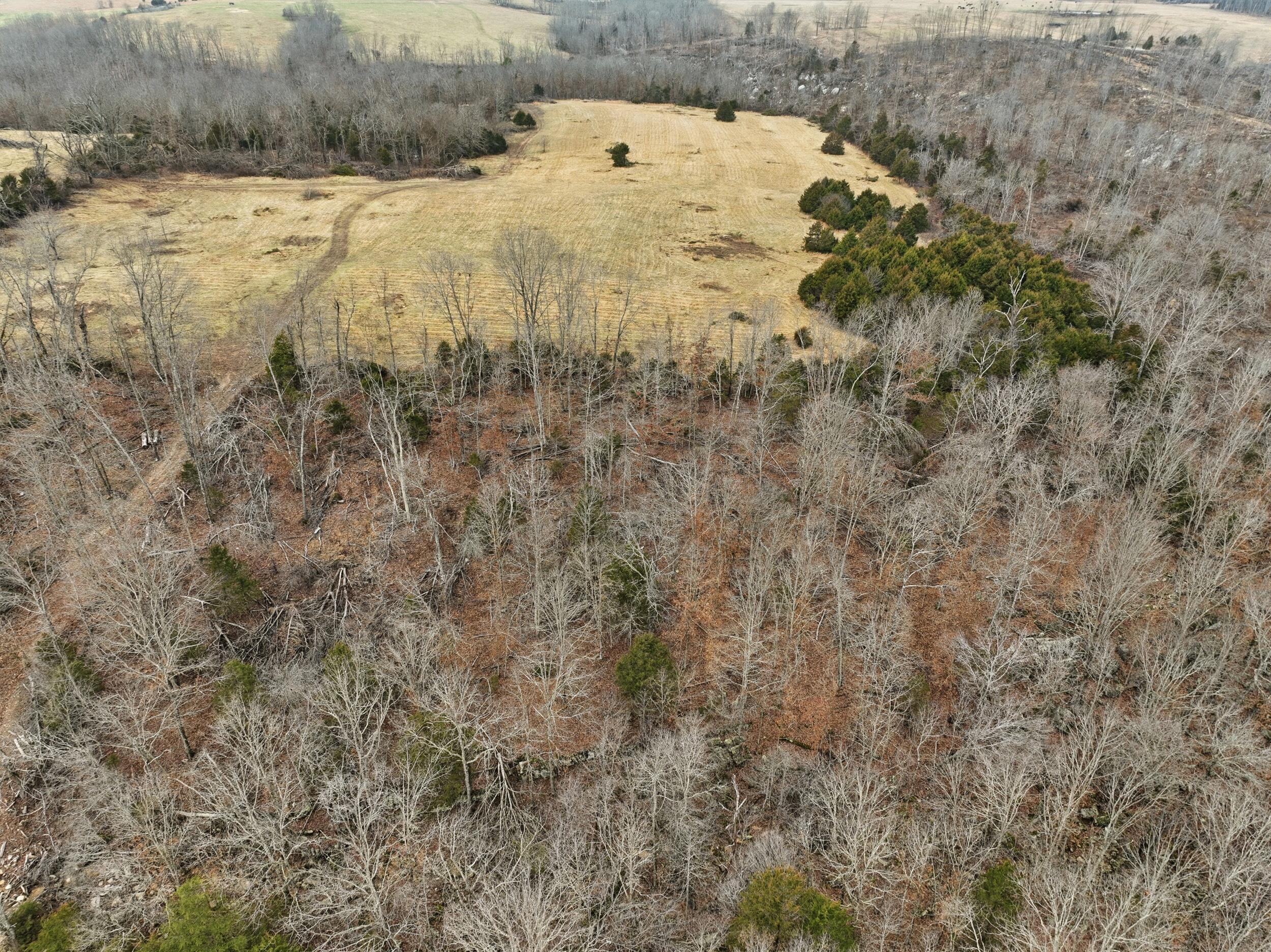 Photo 15 - Land for sale – 000  County Road 60-489   Birch Tree, MO