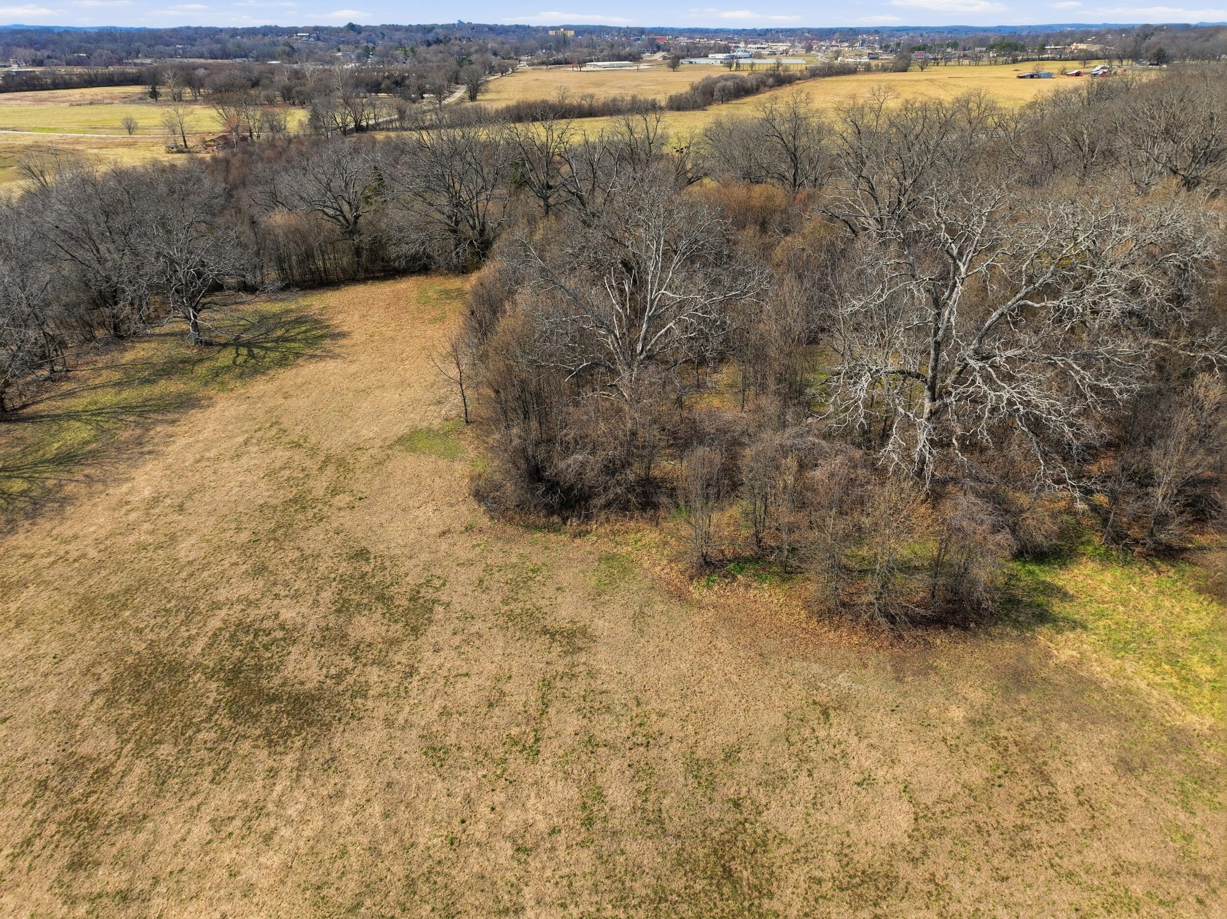 Photo 2 - Land for sale – 000  County Road 60-489   Birch Tree, MO
