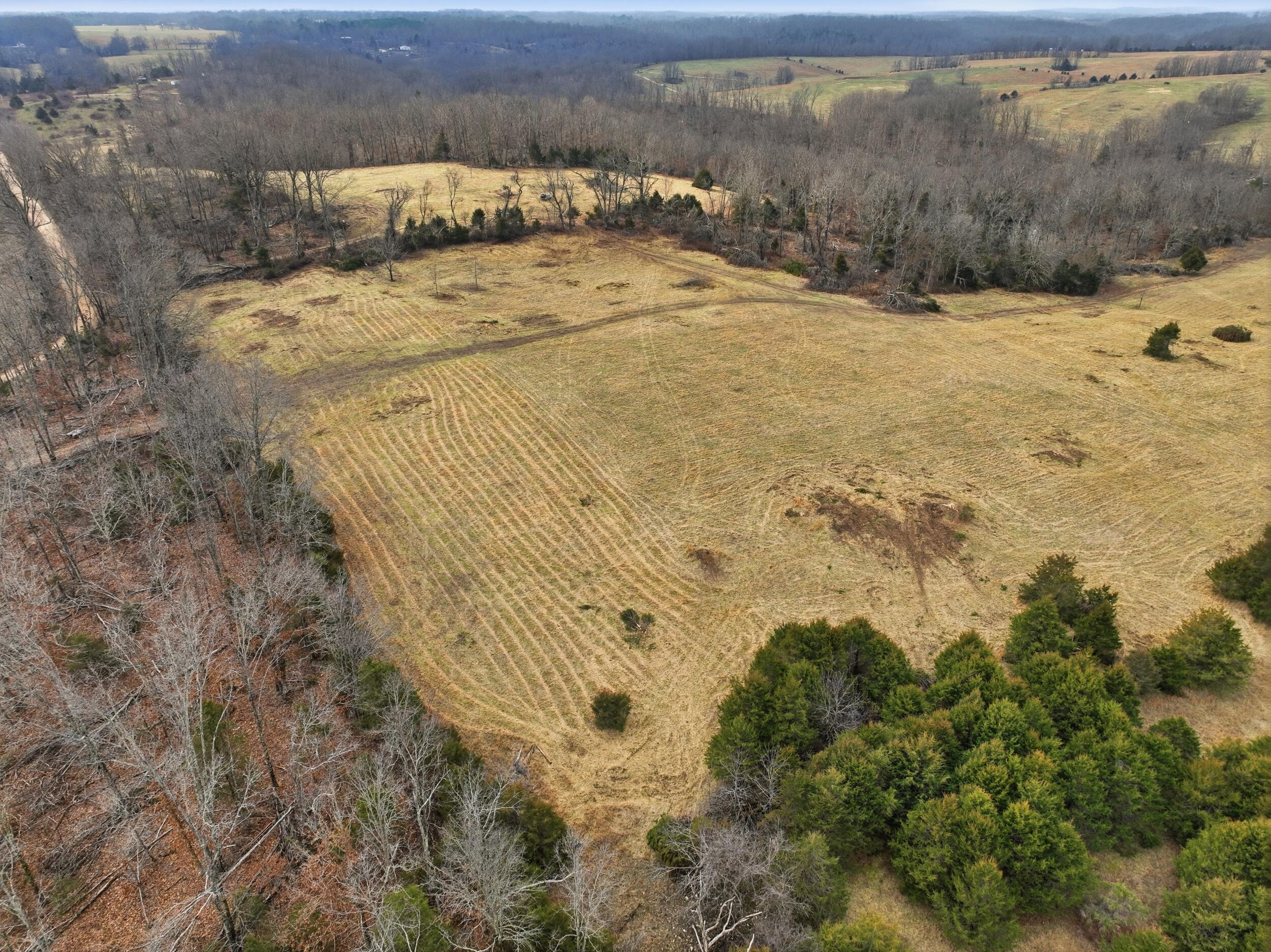 Photo 18 - Land for sale – 000  County Road 60-489   Birch Tree, MO