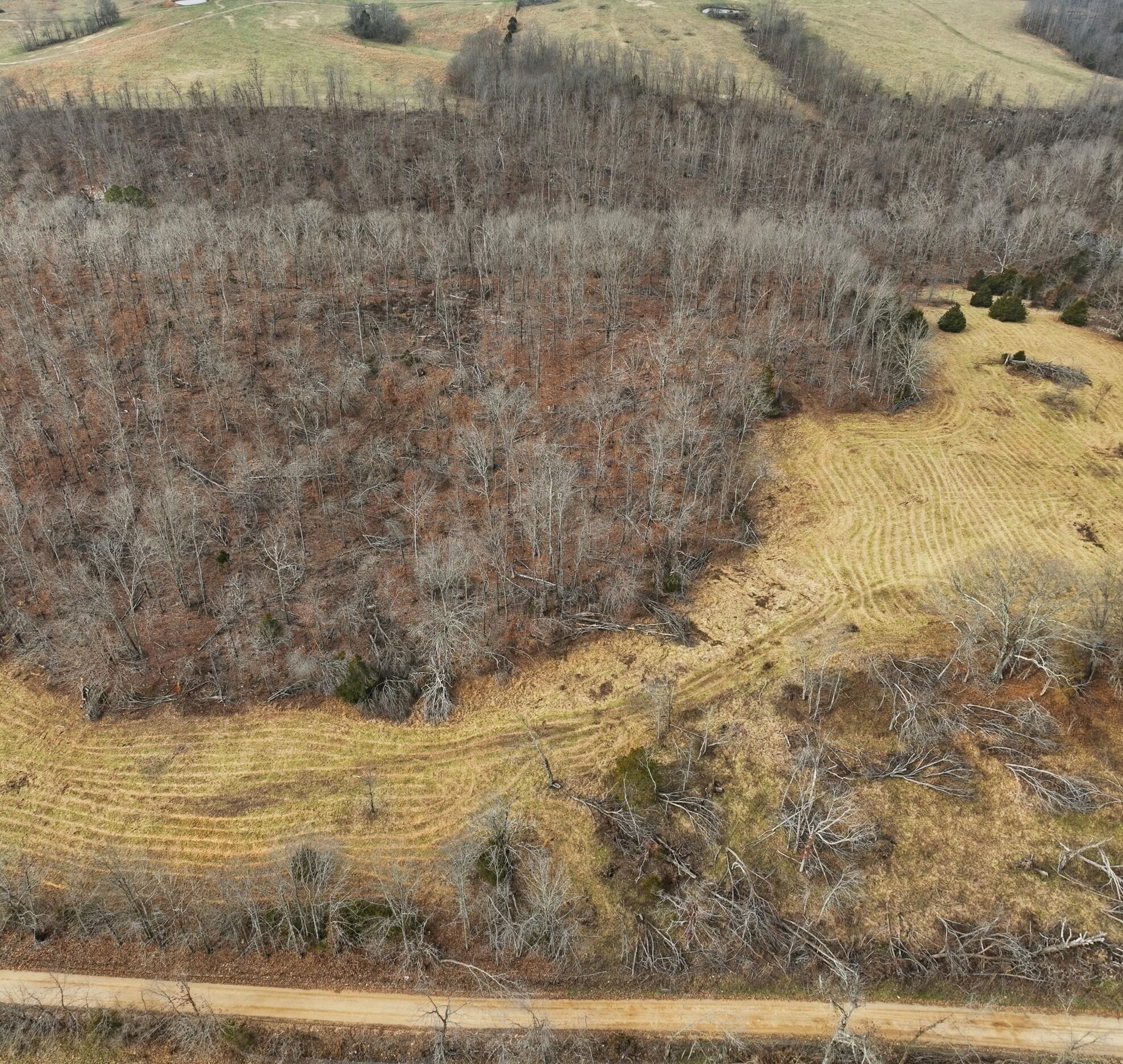 Photo 7 - Land for sale – 000  County Road 60-489   Birch Tree, MO