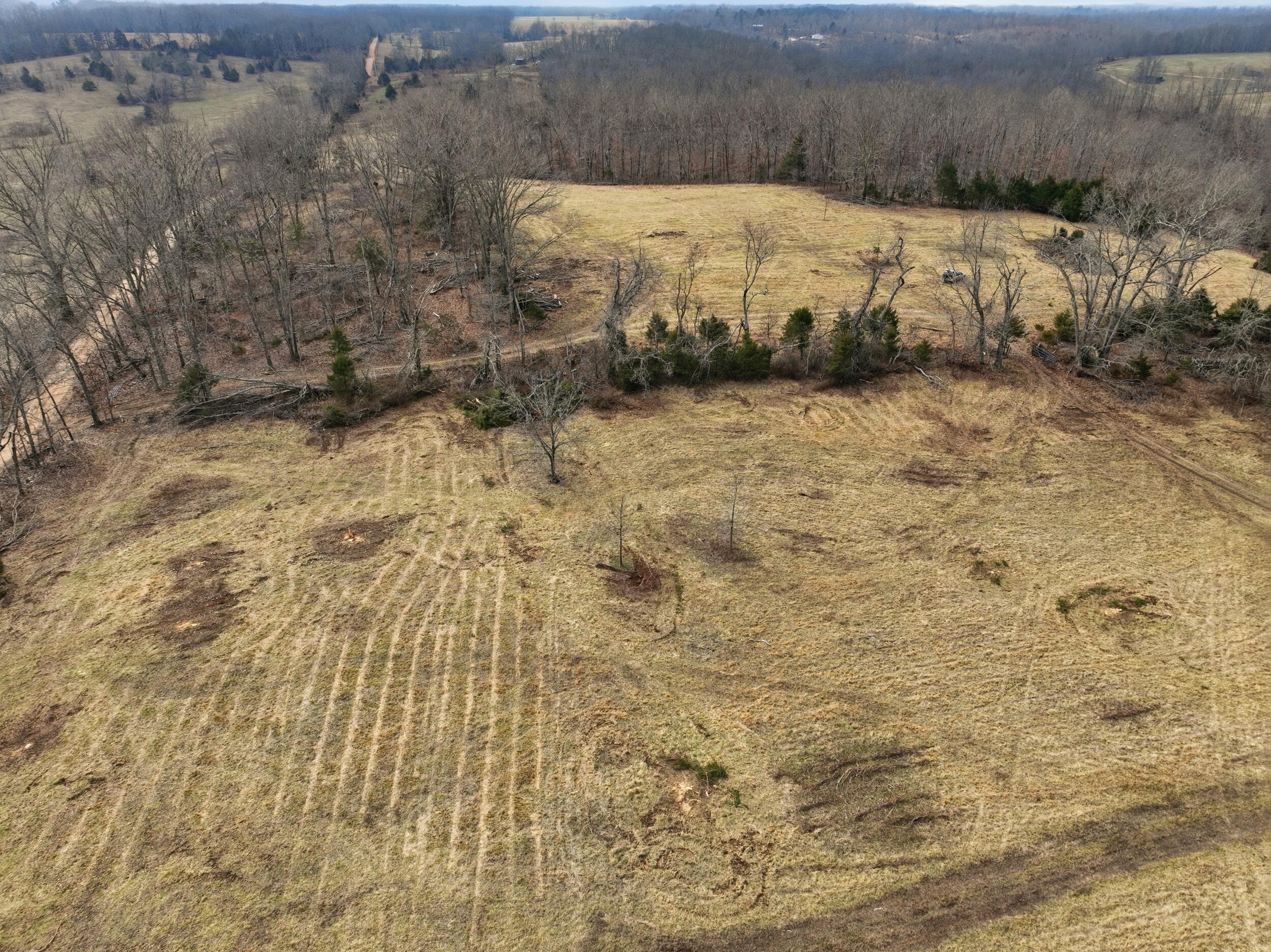 Photo 20 - Land for sale – 000  County Road 60-489   Birch Tree, MO