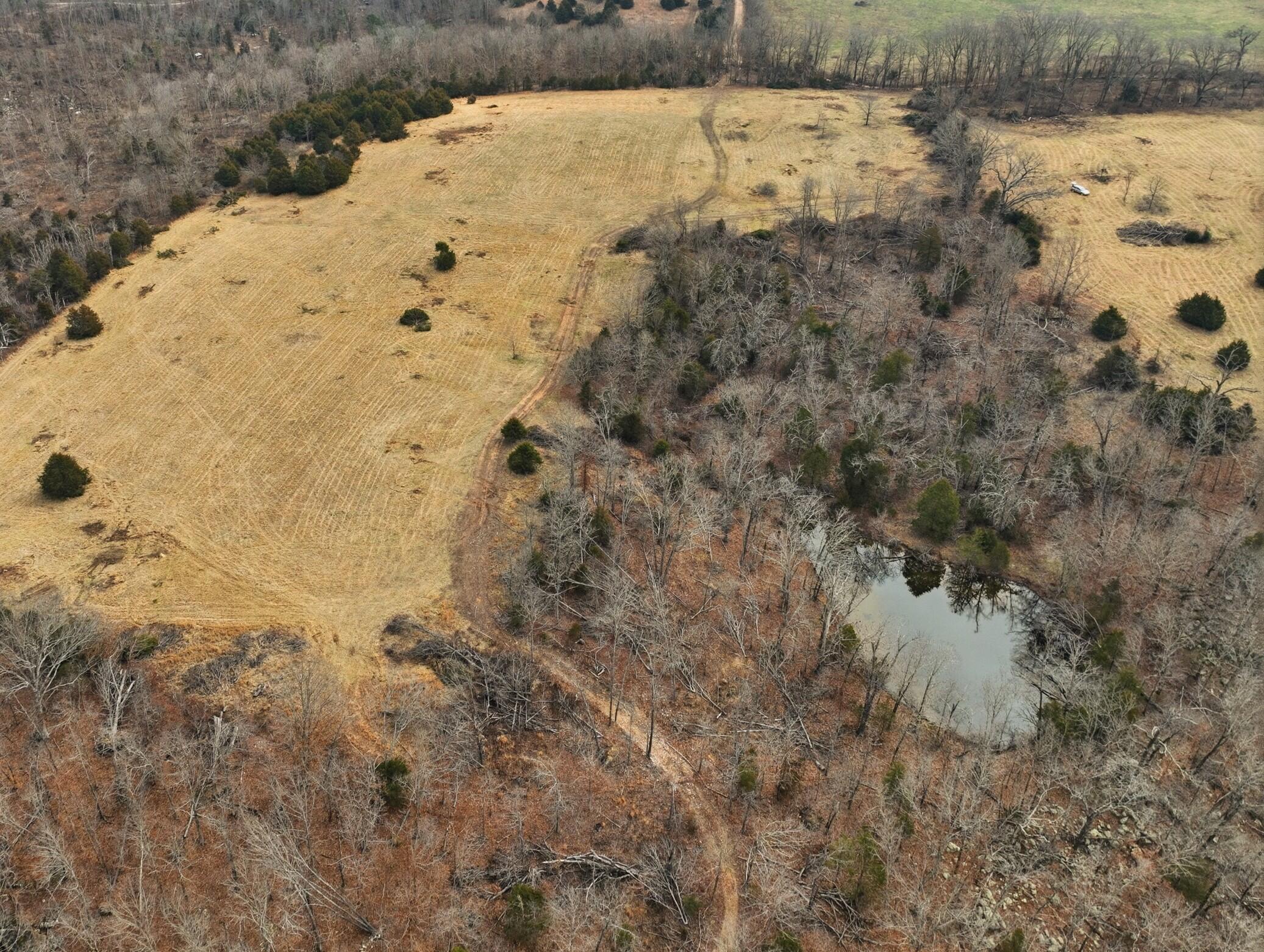 Land for sale – 000  County Road 60-489   Birch Tree, MO