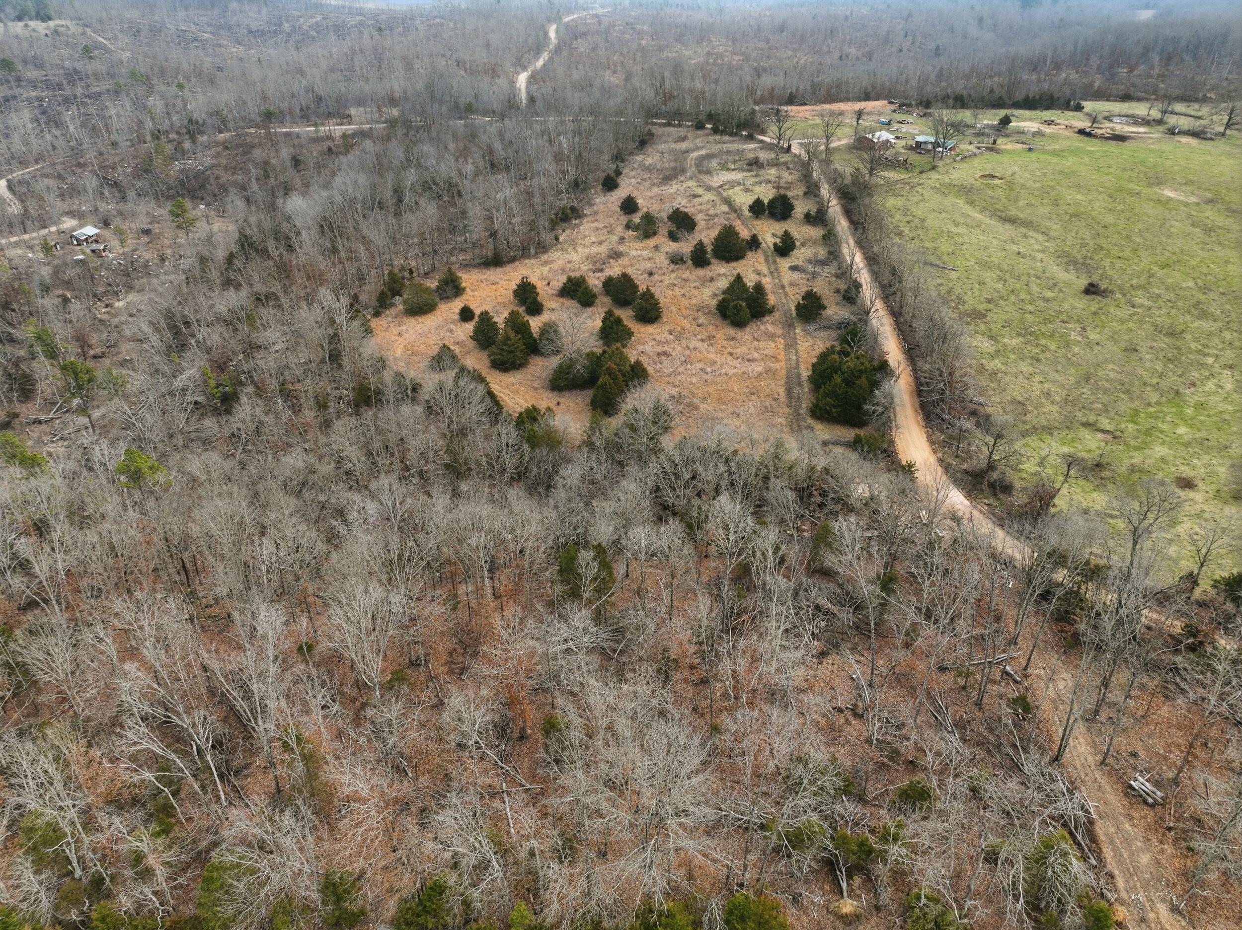 Photo 14 - Land for sale – 000  County Road 60-489   Birch Tree, MO